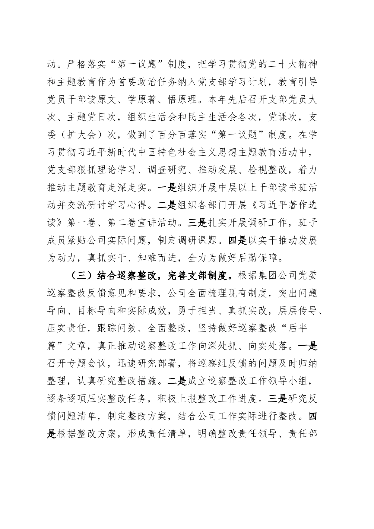 2023年公司党支部党建工作总结20240304_第2页