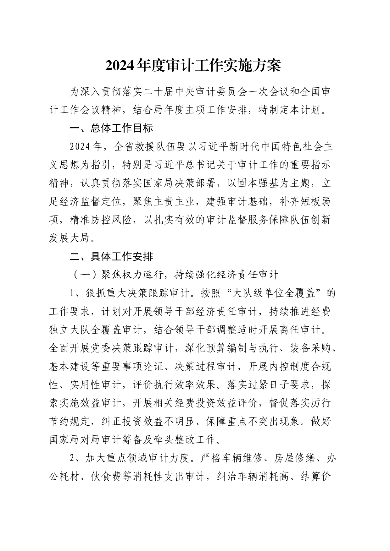 2024年度审计工作实施方案_第1页