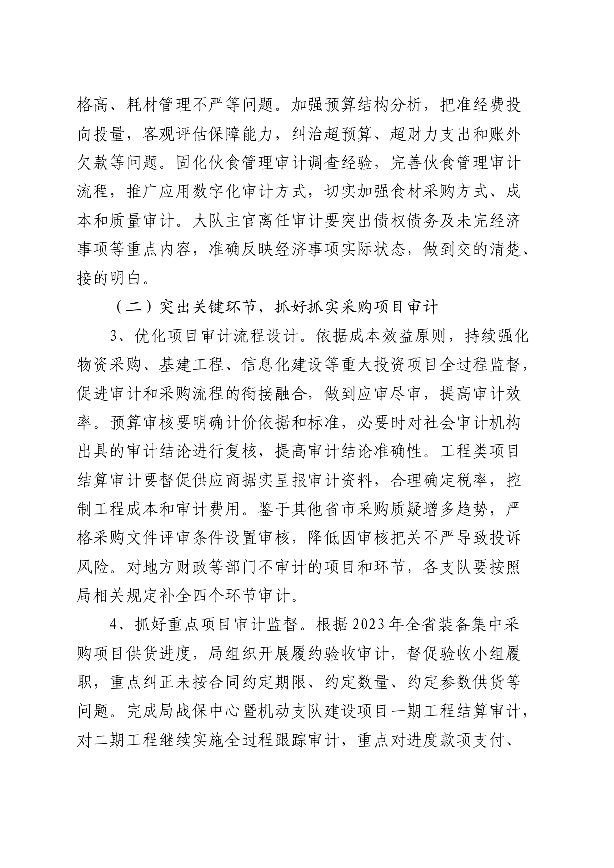 2024年度审计工作实施方案_第2页