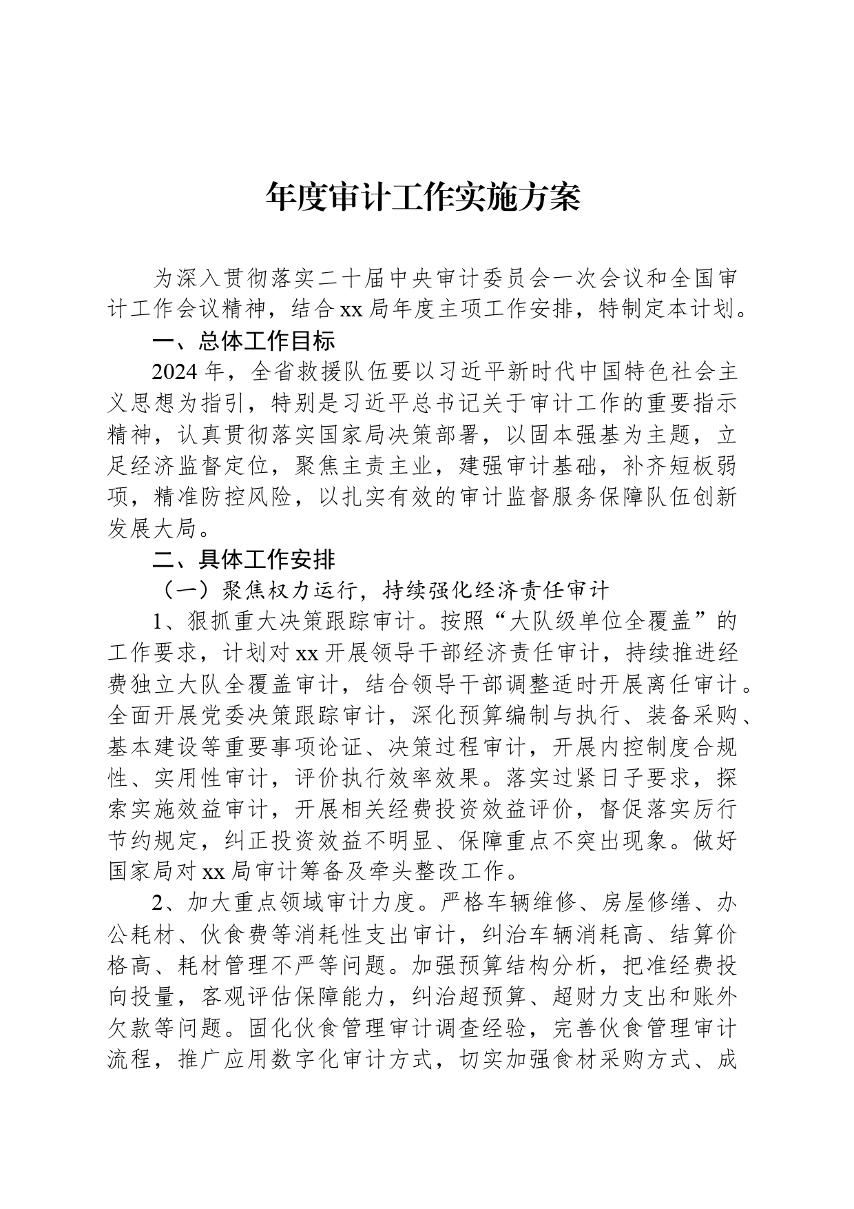 年度审计工作实施方案_第1页