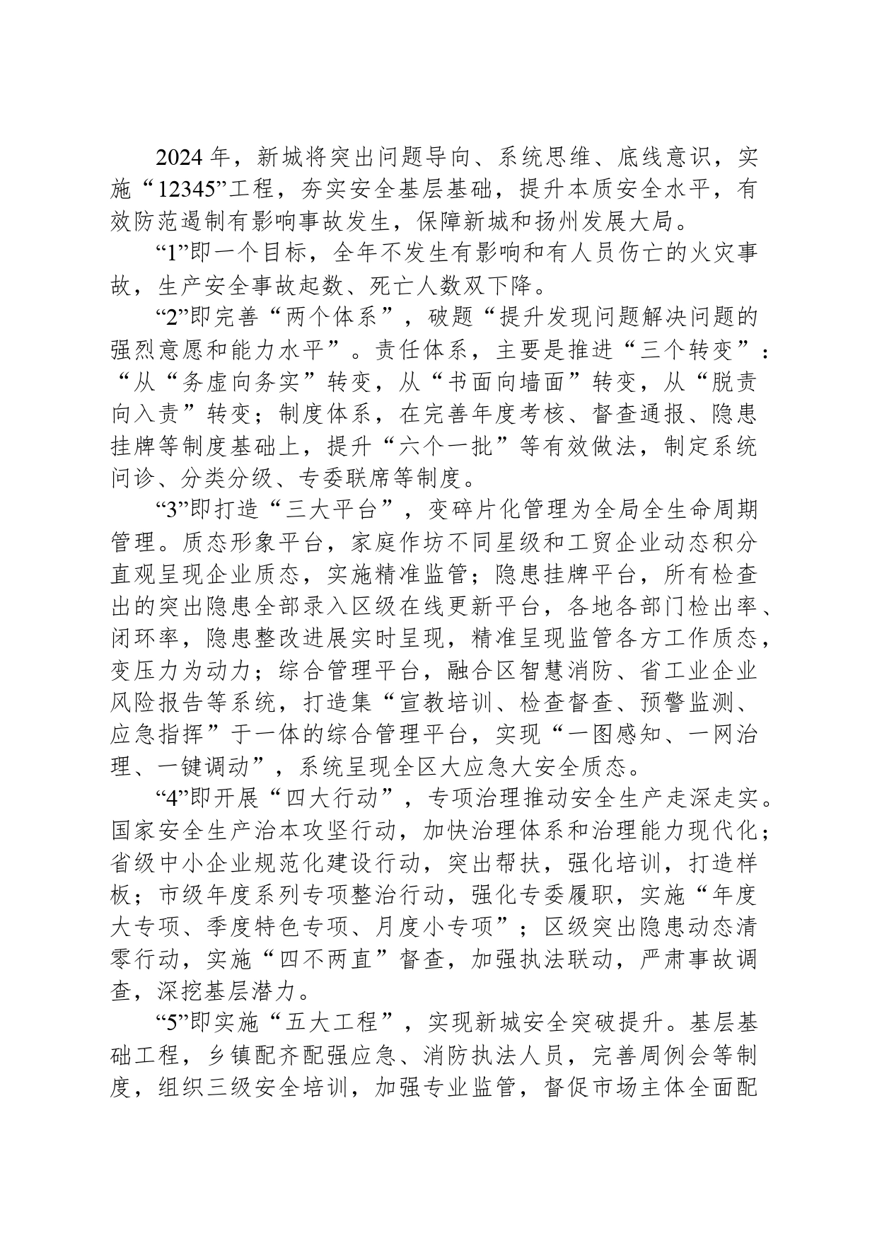 踔厉奋发 勇毅前行 以新安全格局保障新城新发展格局_第2页