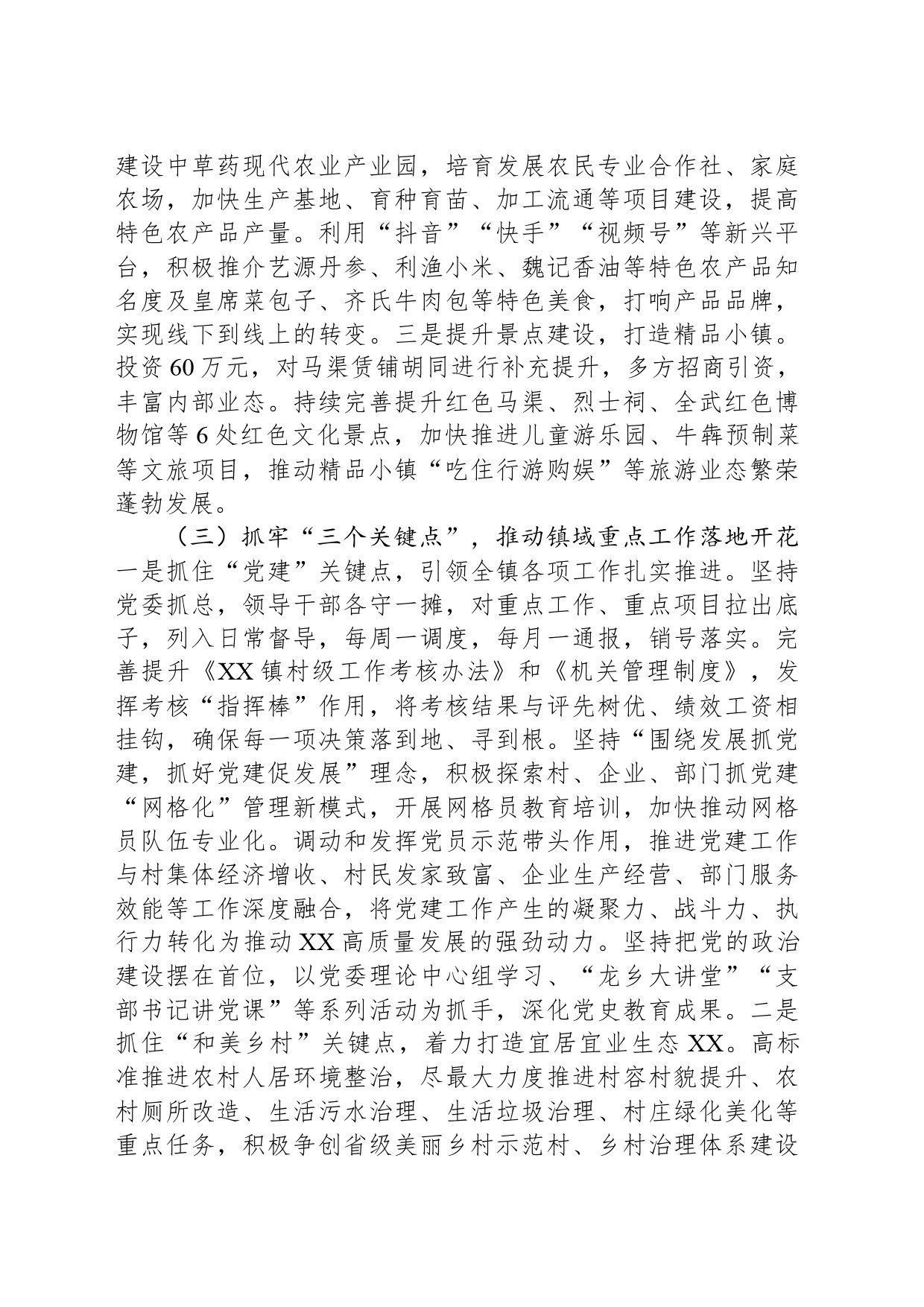 XX镇2024年工作计划(20240325)_第2页