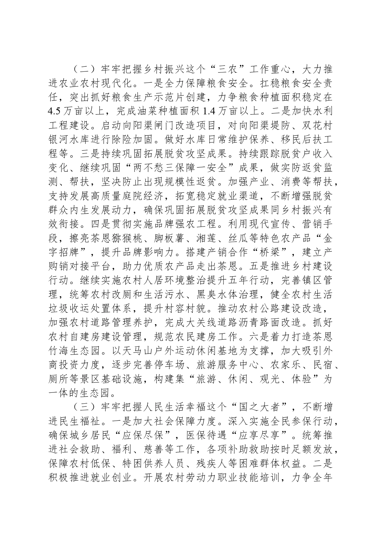XX镇2024年工作计划(20240318)_第2页