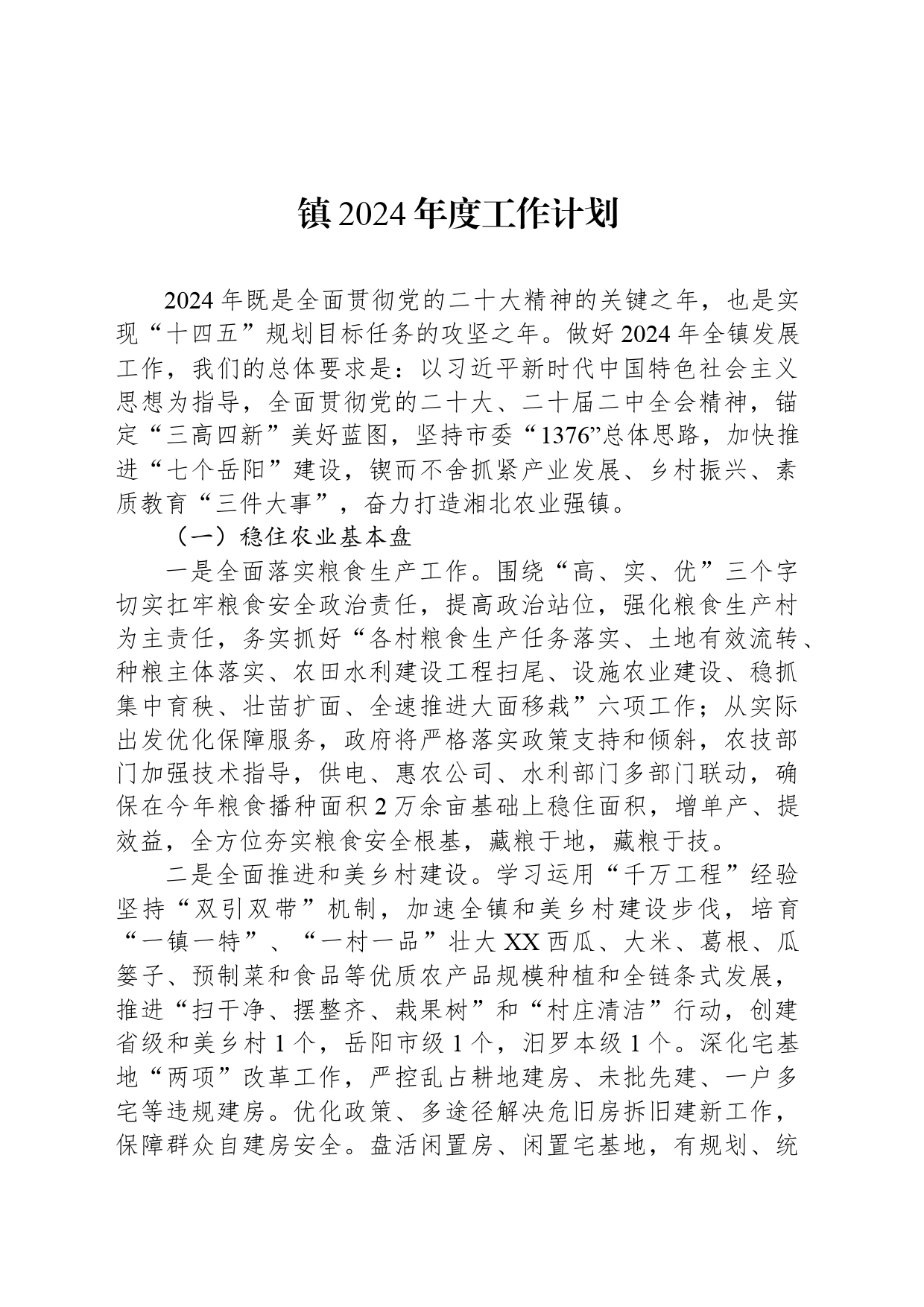 镇2024年度工作计划（20240318）_第1页