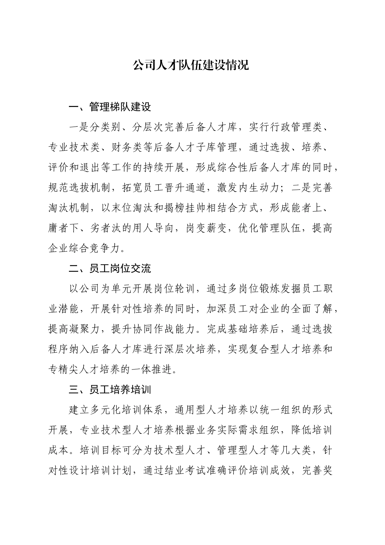 公司人才队伍建设情况_第1页