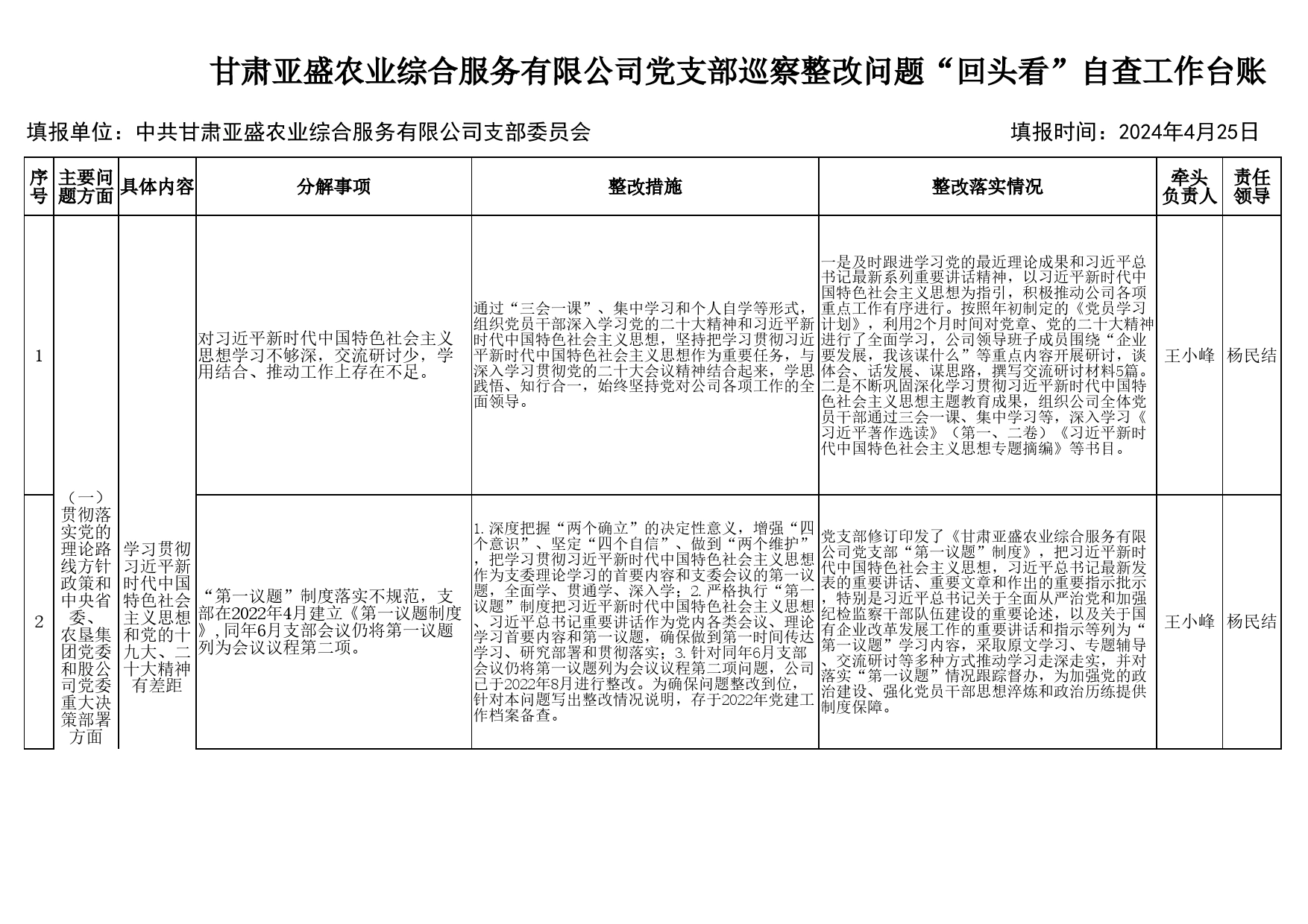 公司党支部巡察整改问题“回头看”自查工作台账_第1页