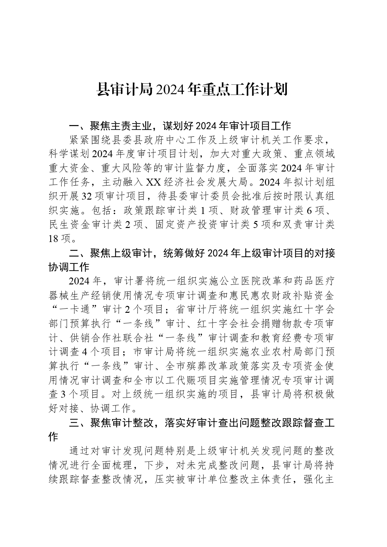 县审计局2024年重点工作计划_第1页