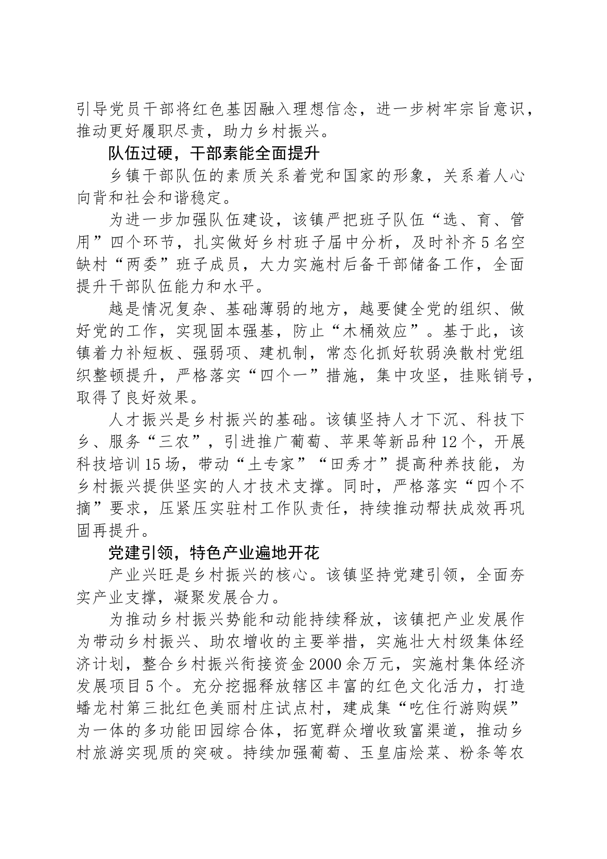 党建赋能激发乡村振兴新活力_第2页