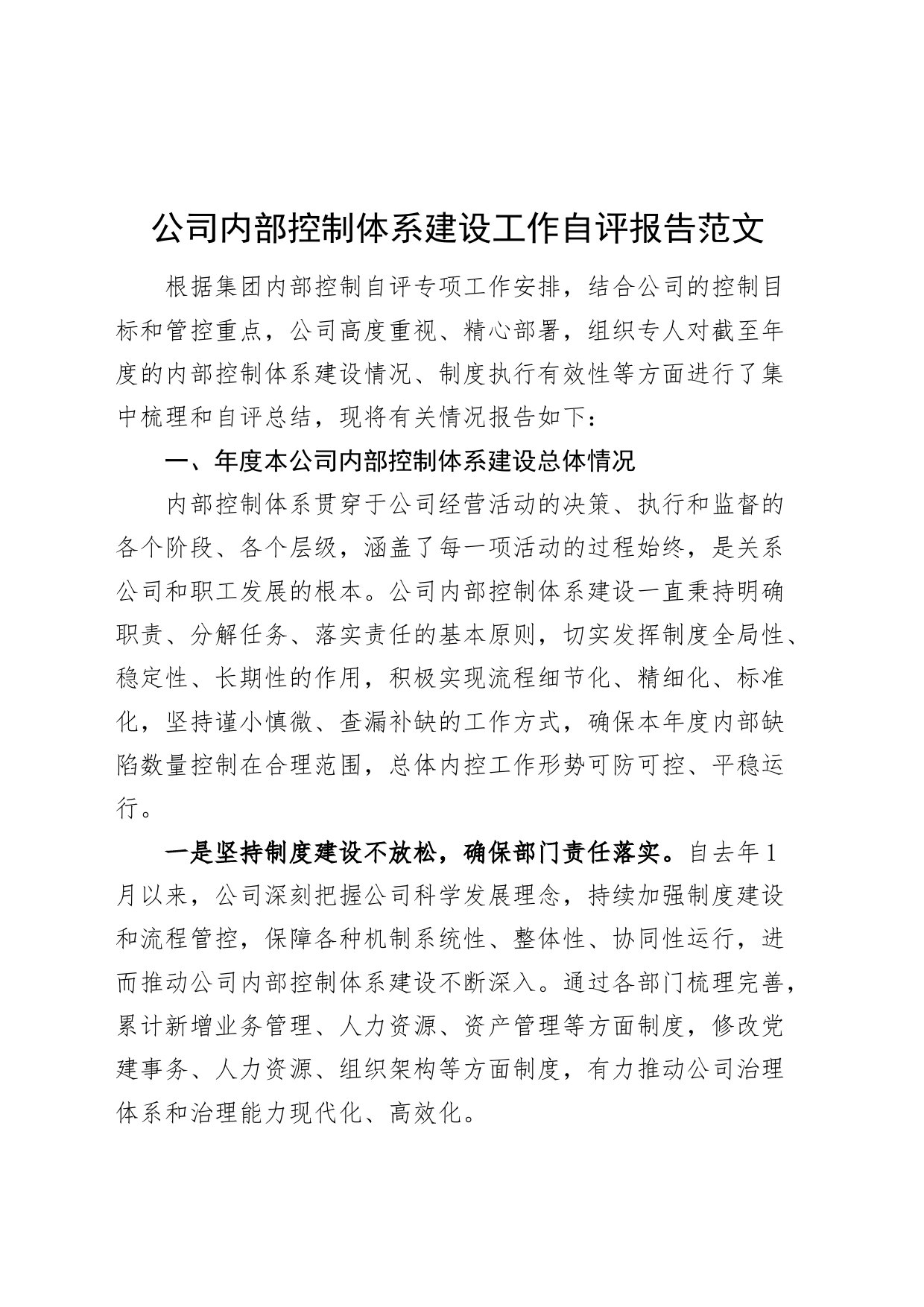 公司内部控制体系建设工作自评报告企业工作汇报总结_第1页