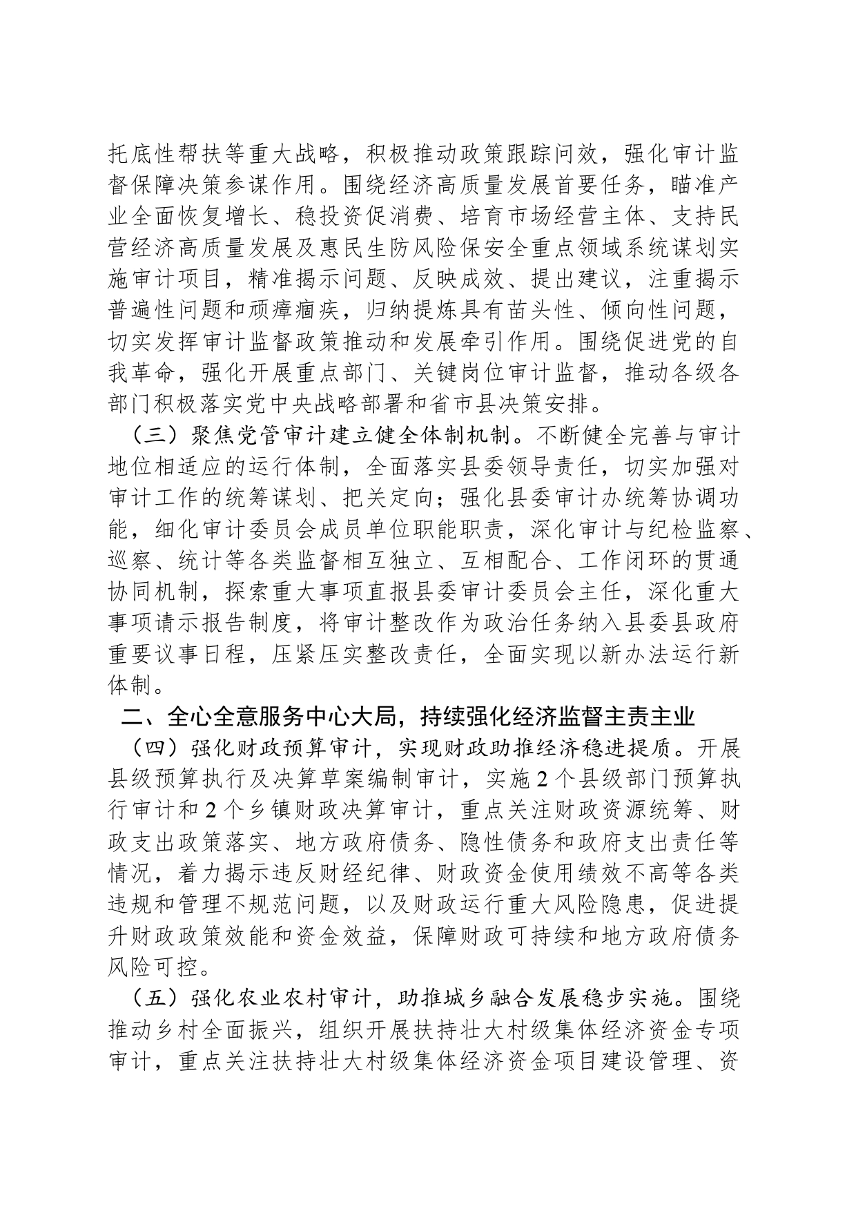 县审计局2024年度工作要点（20240417）_第2页