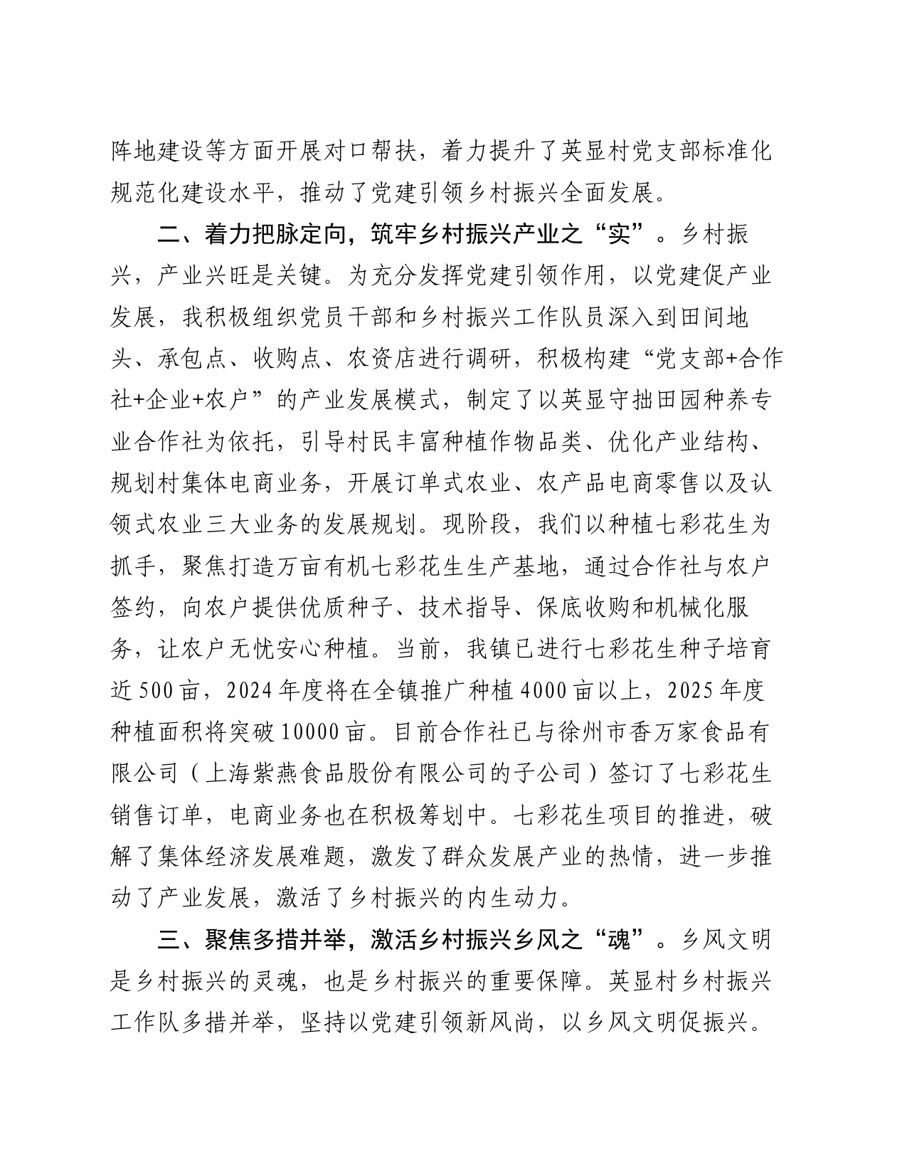 在乡村振兴工作会议上的交流发言_第2页