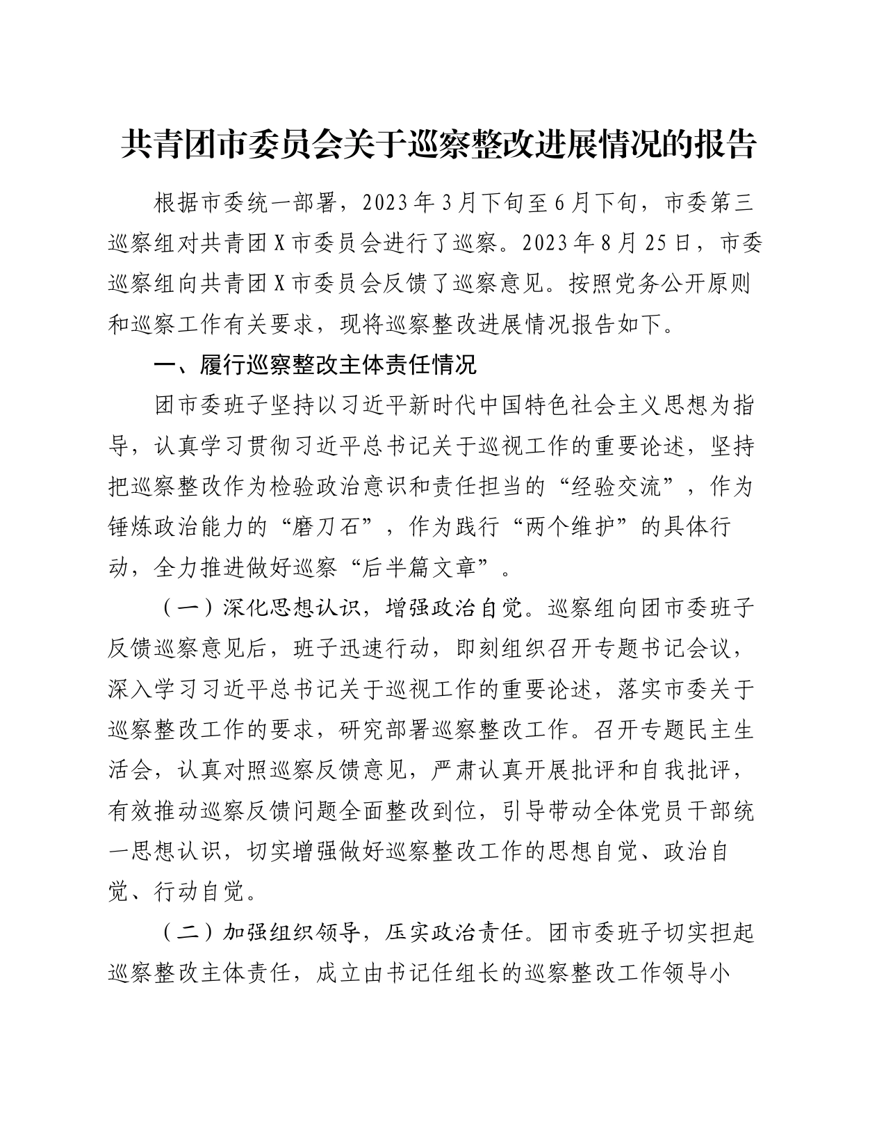 共青团市委员会关于巡察整改进展情况的报告（2）_第1页