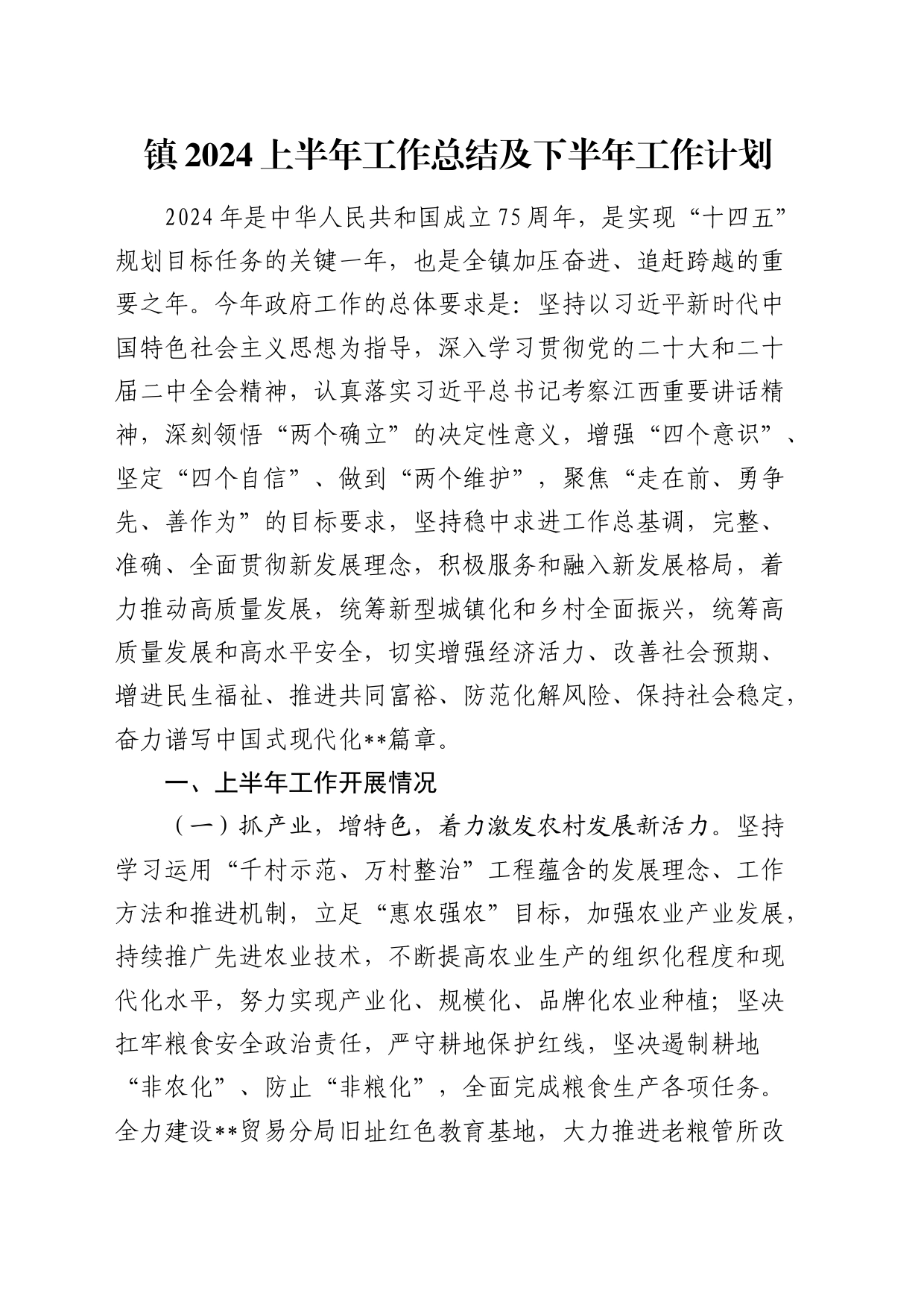 乡镇街道2024年上半年工作总结及下半年工作计划_第1页