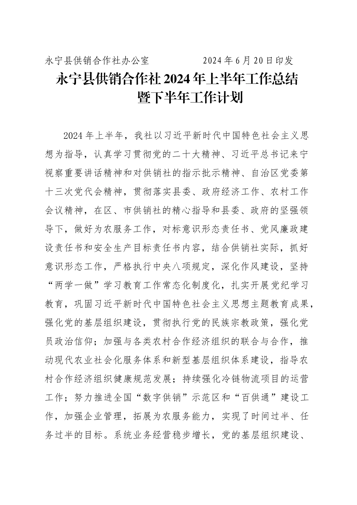 供销社2024年社发12号（上半年工作总结）_第2页