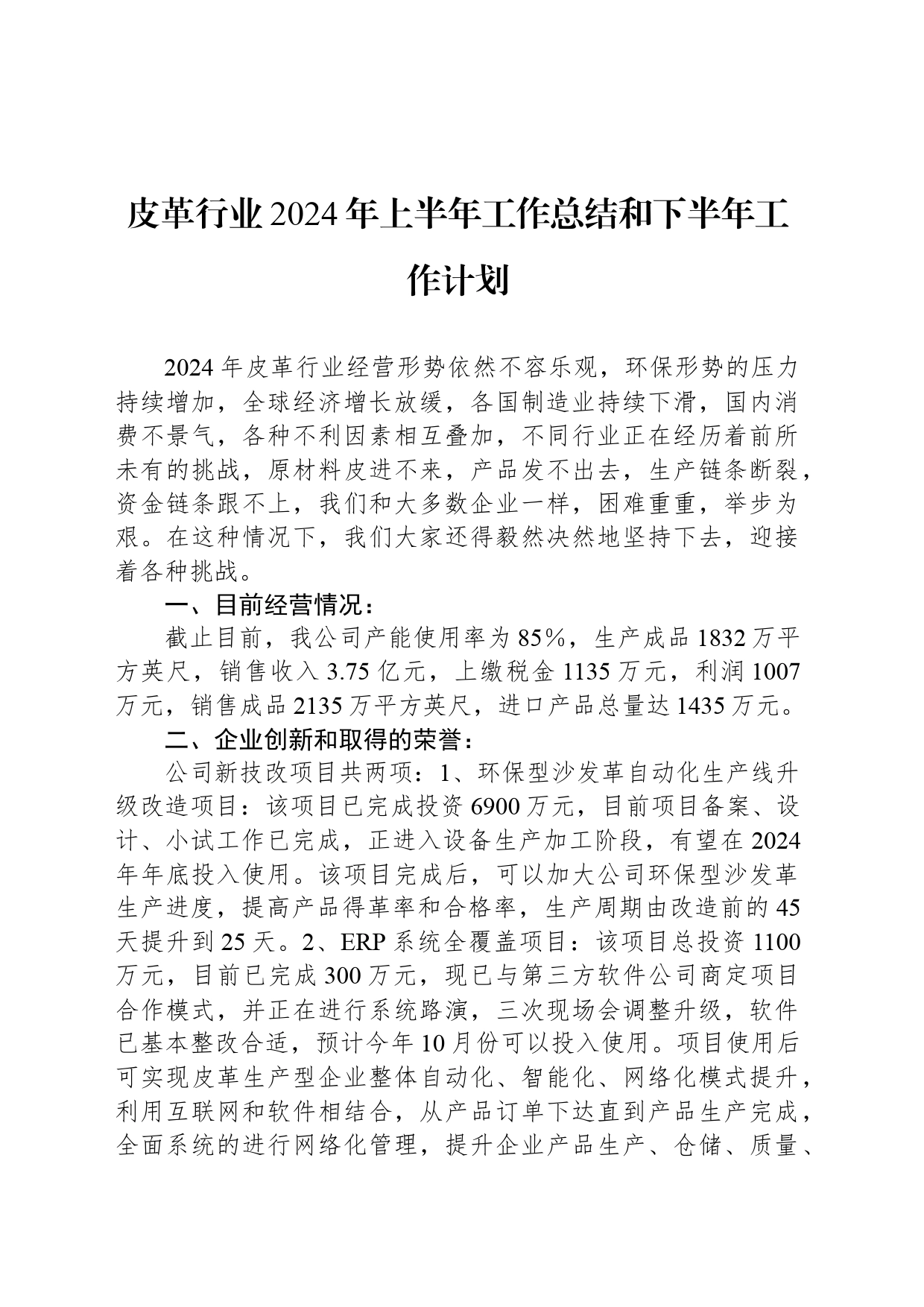 皮革行业2024年上半年工作总结和下半年工作计划_第1页