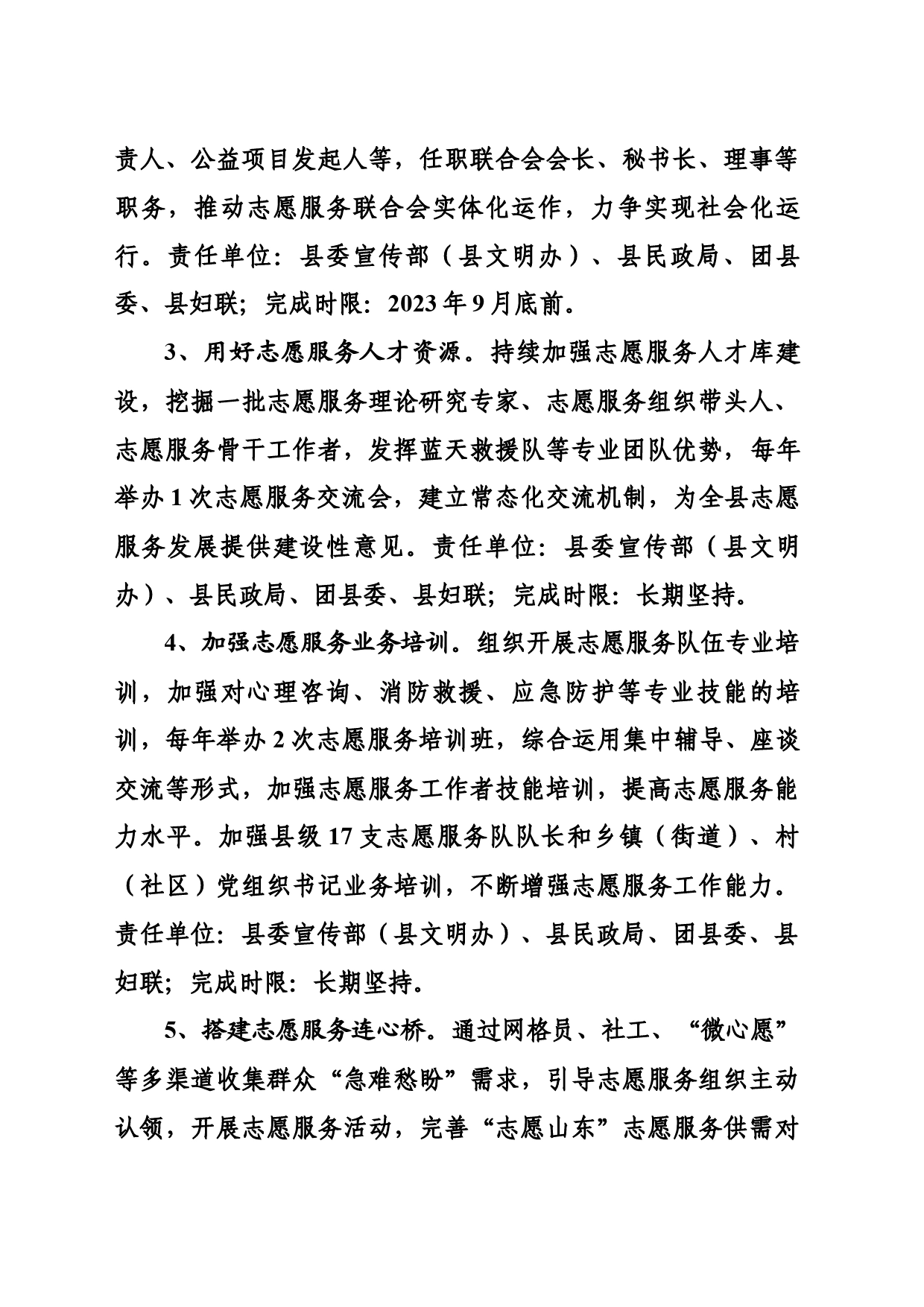 关于提升志愿服务工作的实施方案_第2页