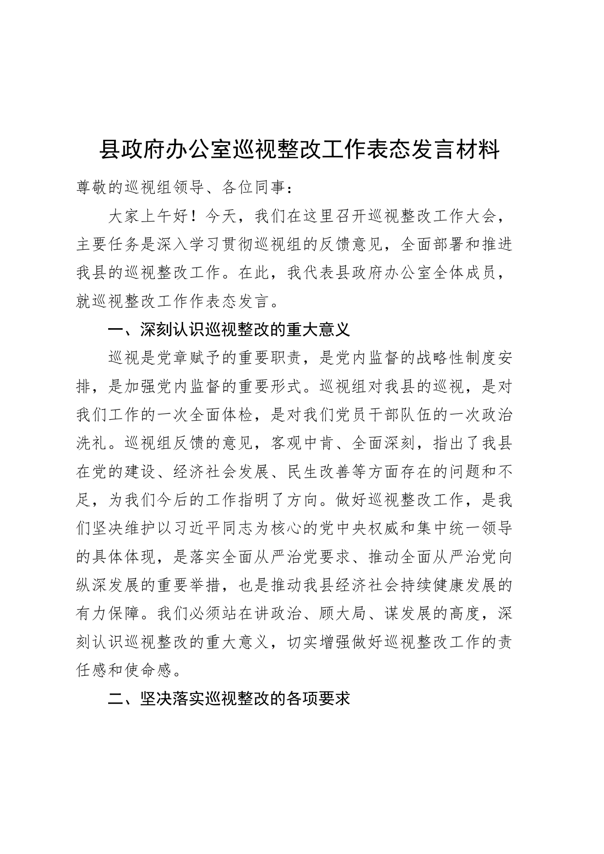 县政府办公室巡视整改工作表态发言材料20240814_第1页