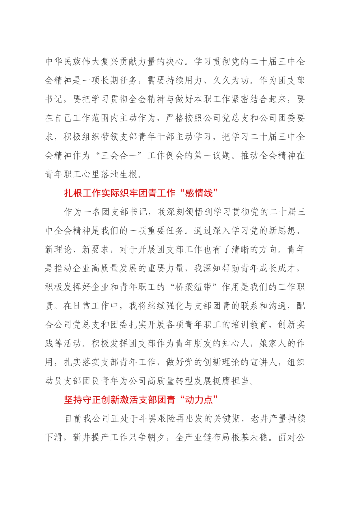 某公司支部书记学习党的二十届三中全会心得体会_第2页