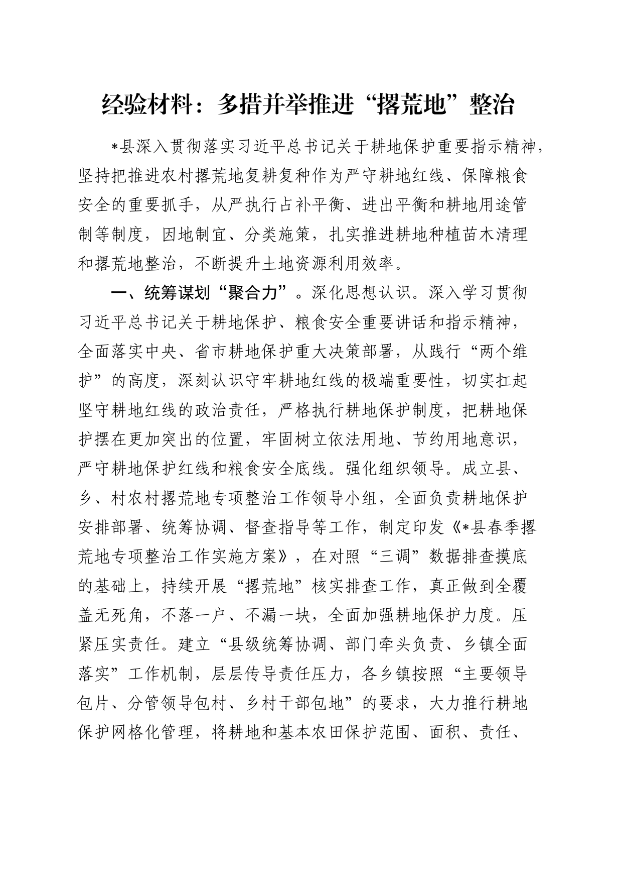 经验总结：多措并举推进“撂荒地”整治_第1页