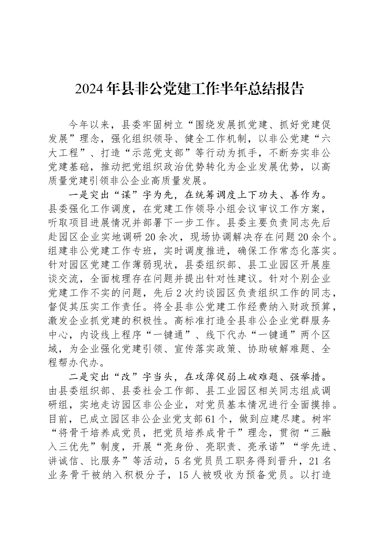 2024年县非公党建工作半年总结报告_第1页