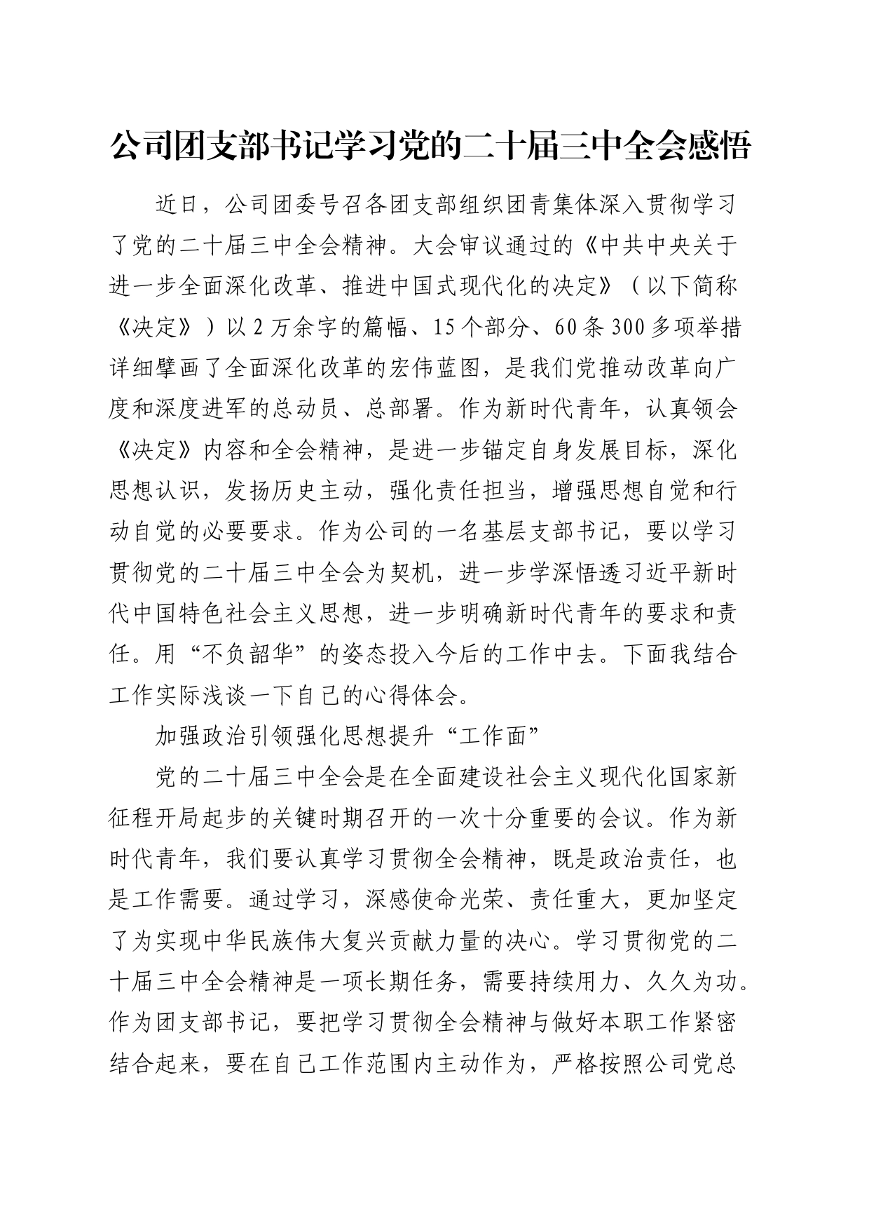 公司团支部书记学习二十届三中全会心得体会发言_第1页