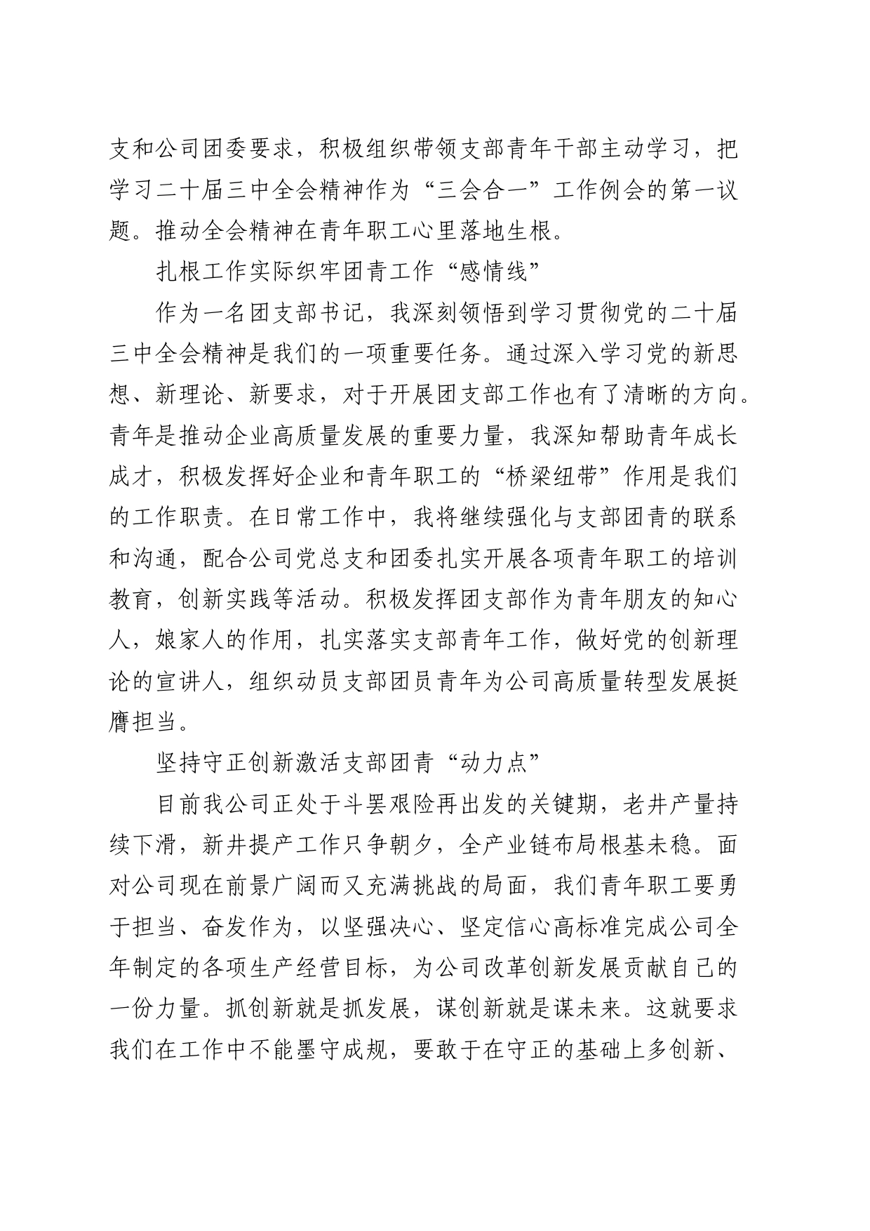 公司团支部书记学习二十届三中全会心得体会发言_第2页