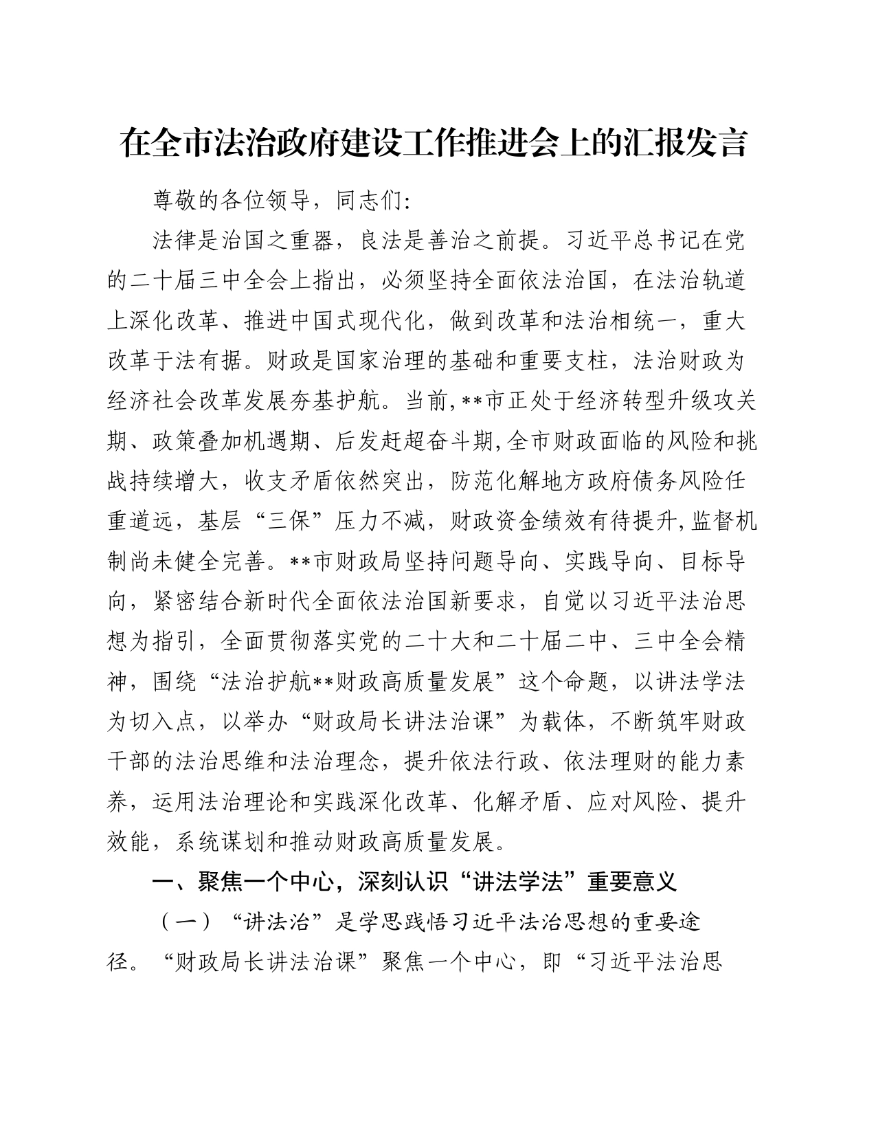 在全市法治政府建设工作推进会上的汇报发言_第1页