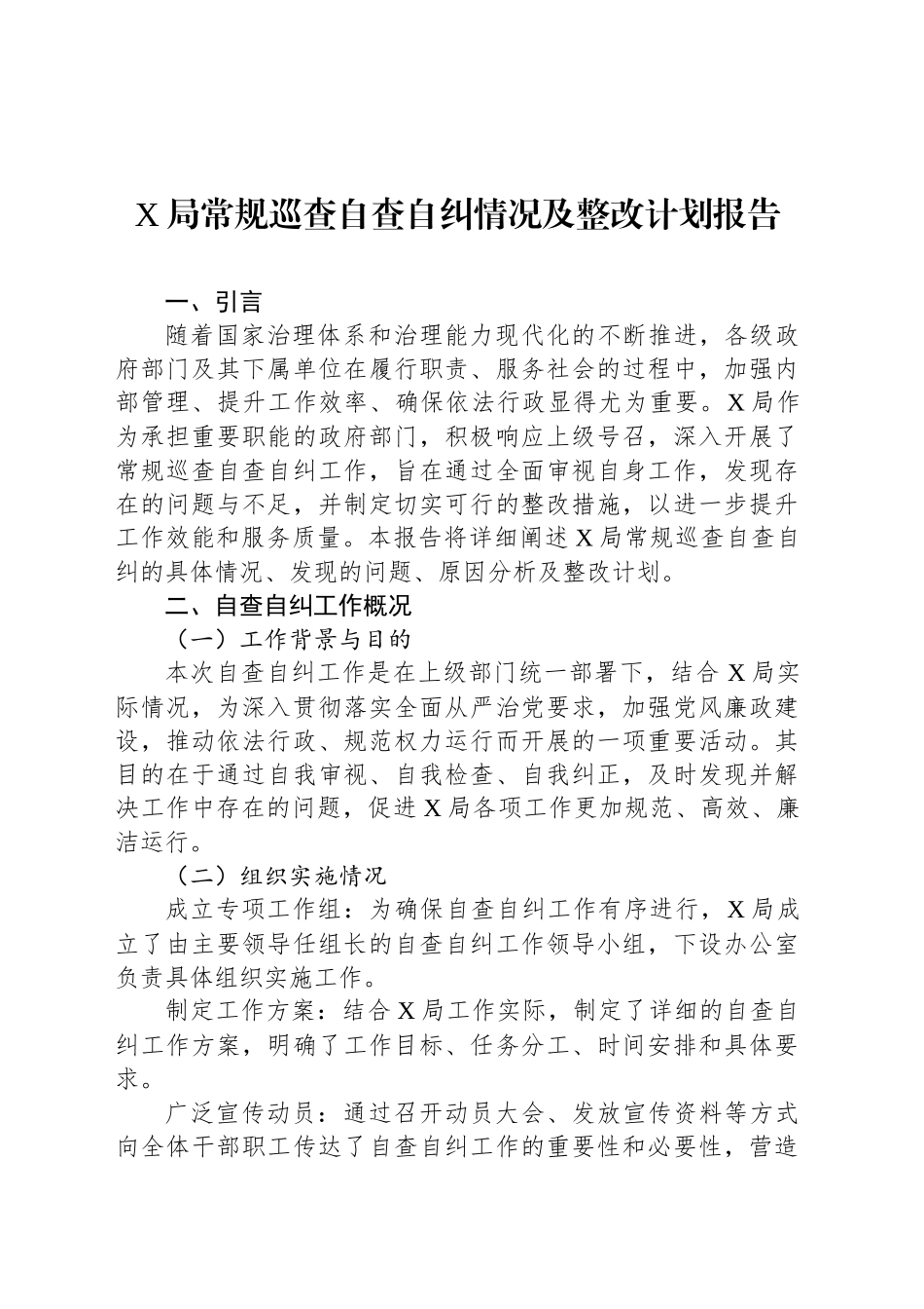 X局常规巡查自查自纠情况及整改计划报告_第1页