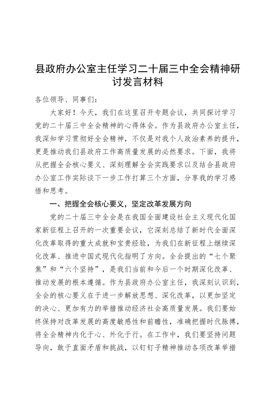 县政府办公室主任学习二十届三中全会精神研讨发言材料心得体会20240904_第1页