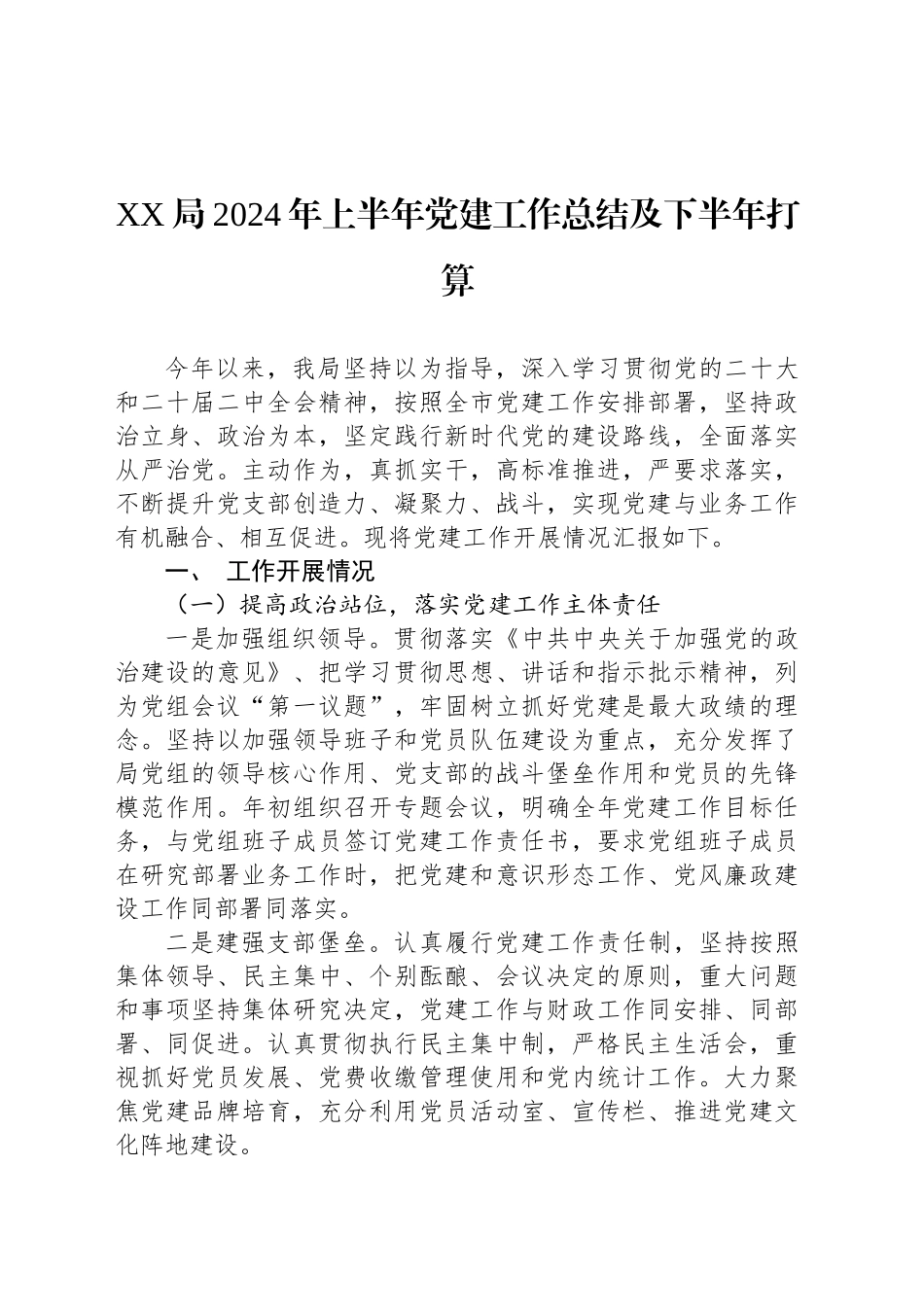 XX局2024年上半年党建工作总结及下半年打算_第1页