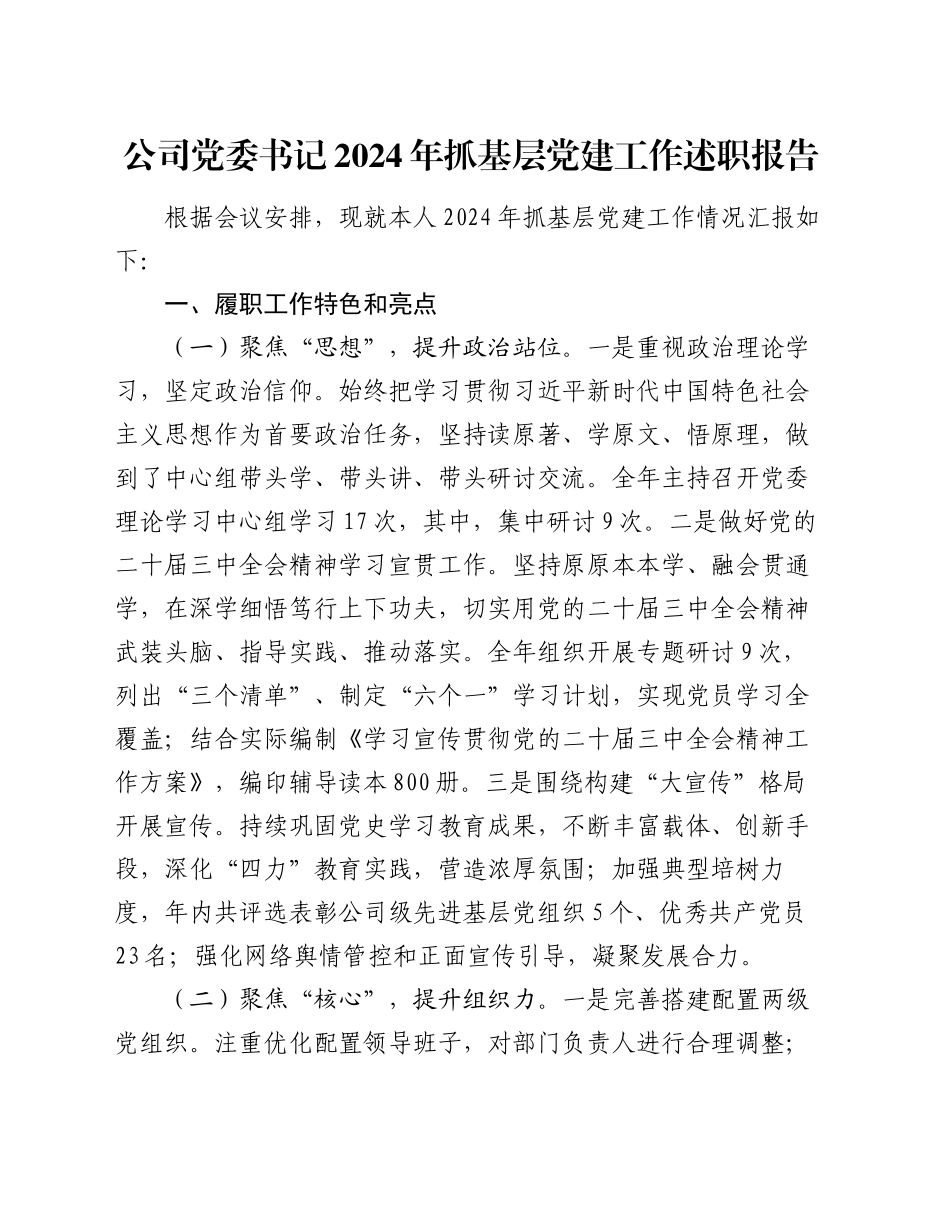 公司党委书记2024年抓基层党建工作述职报告_第1页