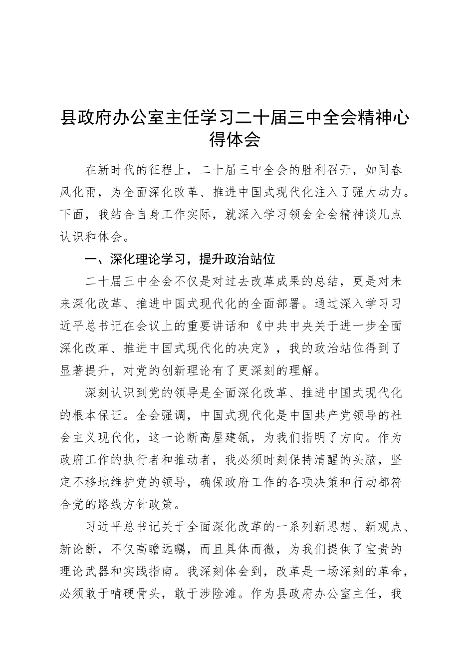 县政府办公室主任学习二十届三中全会精神心得体会交流讲话心得体会20240925_第1页