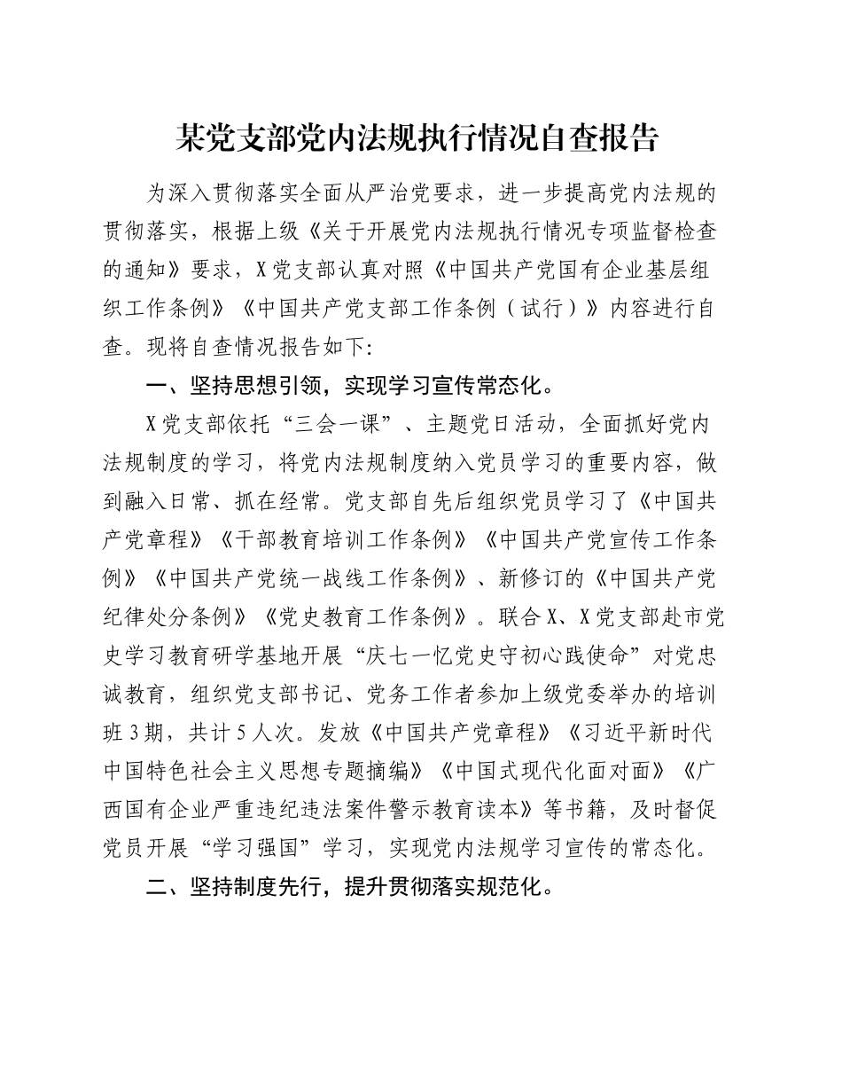 某党支部党内法规执行情况自查报告_第1页