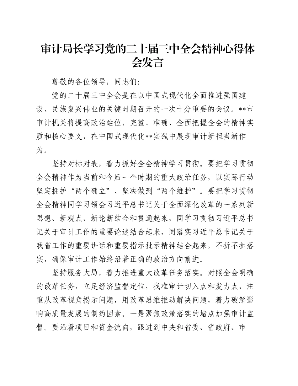 审计局长学习党的二十届三中全会精神心得体会发言_第1页