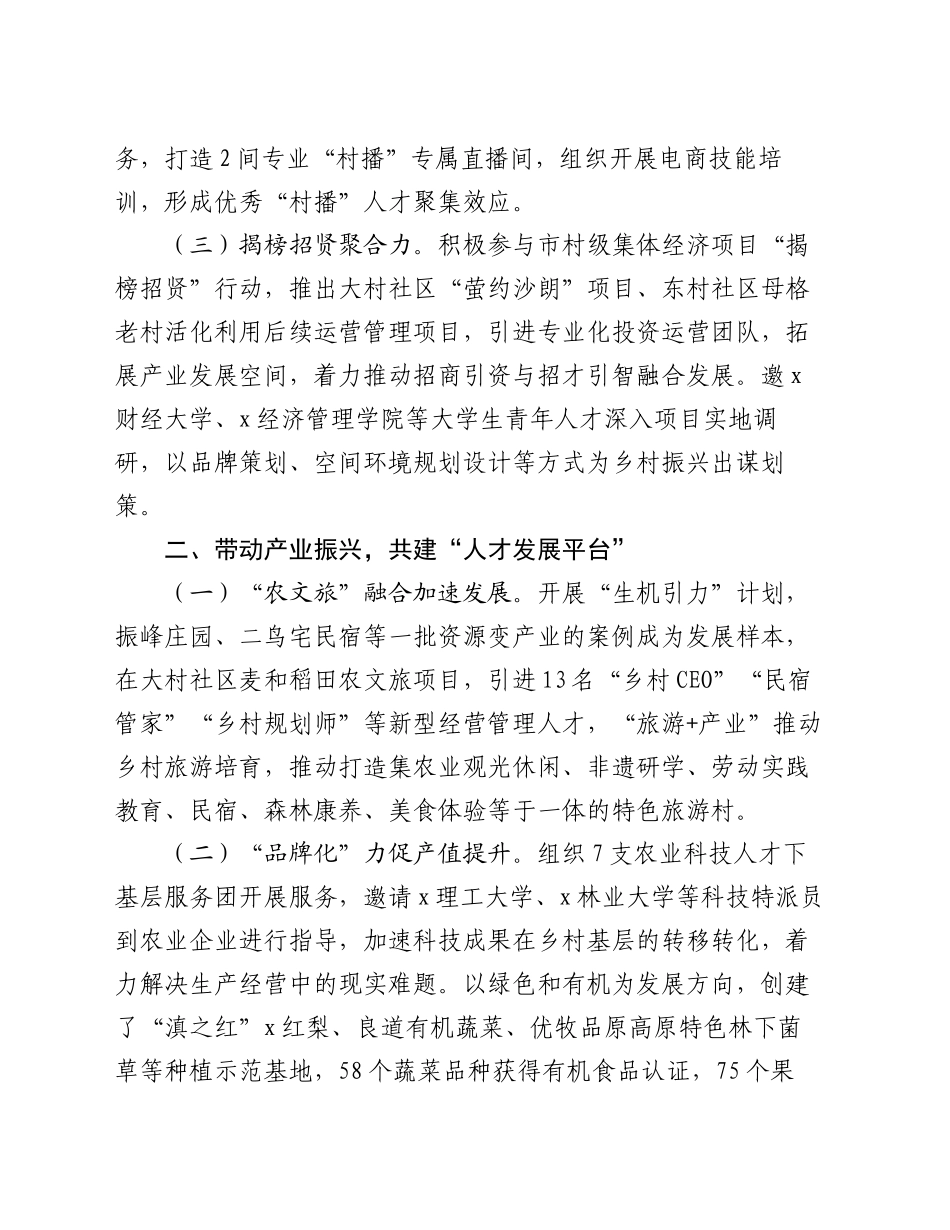 区委组织部在乡村人才工作研讨会上的交流发言_第2页