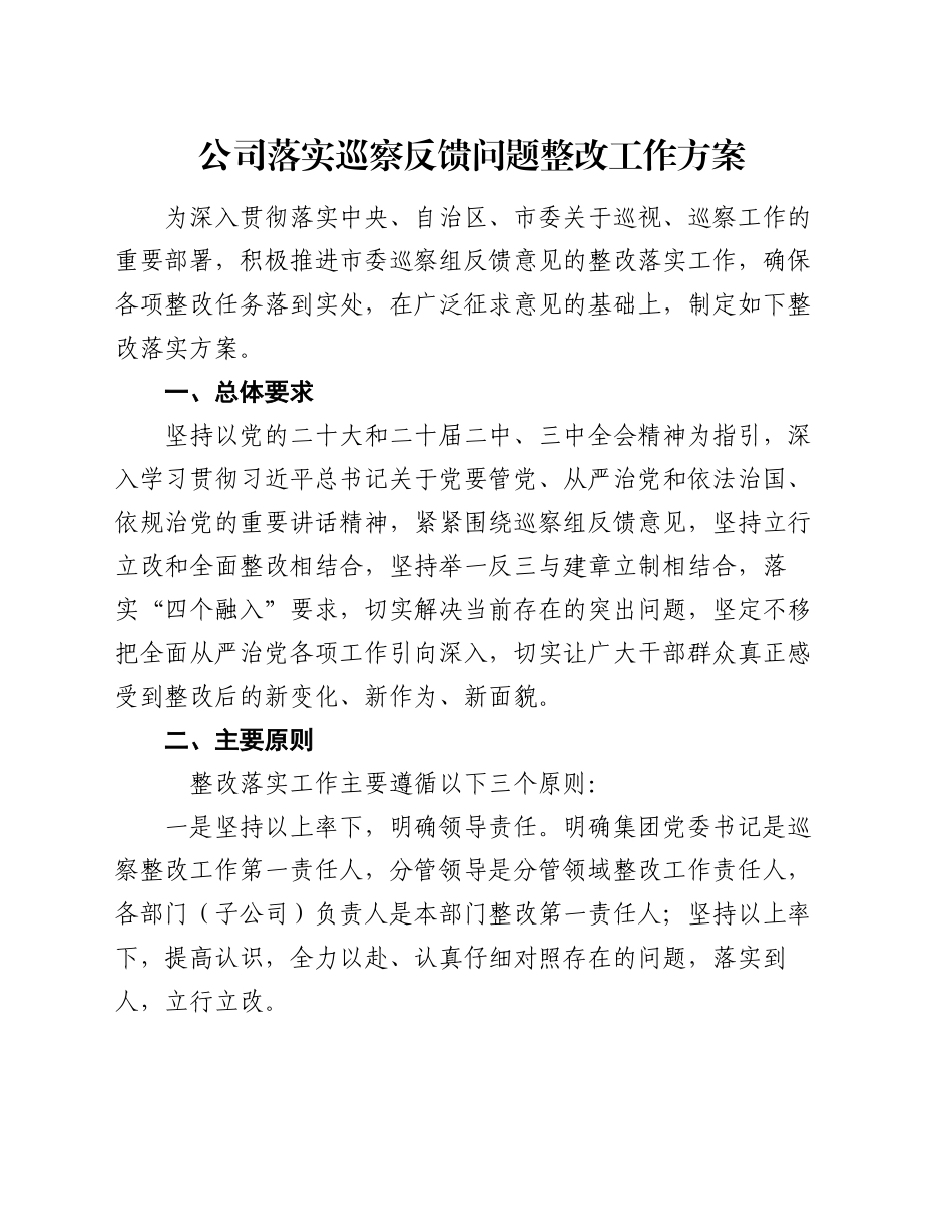 公司落实巡察反馈问题整改工作方案_第1页