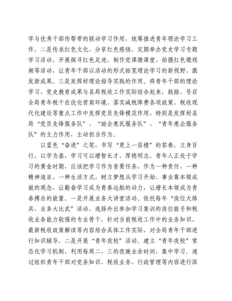 座谈发言：培养青年干部成才为税收现代化建设提高坚实人才保障_第2页