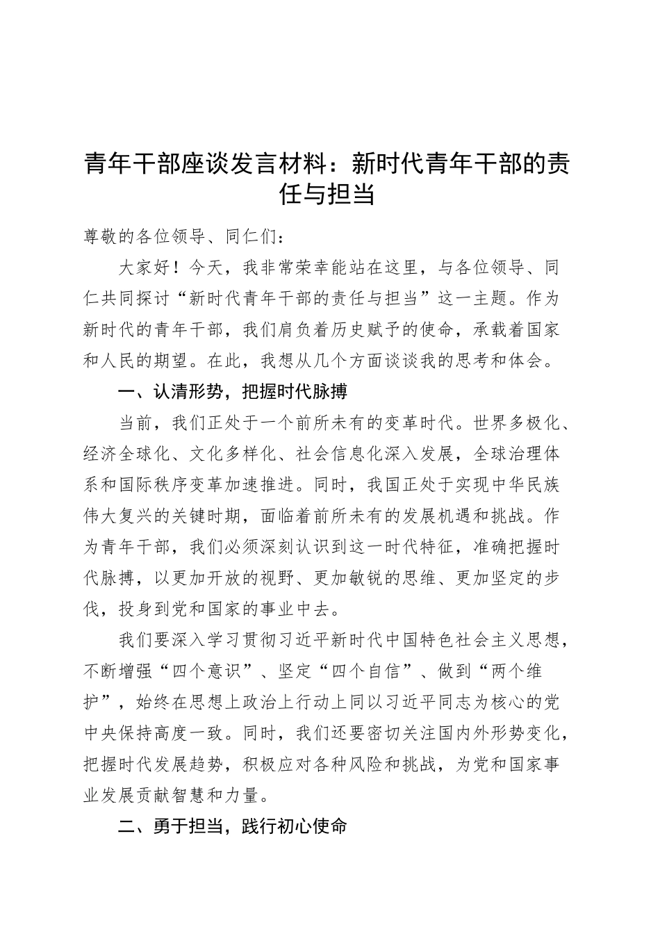 青年干部座谈会发言材料新时代青年干部的责任与担当年轻20241009_第1页