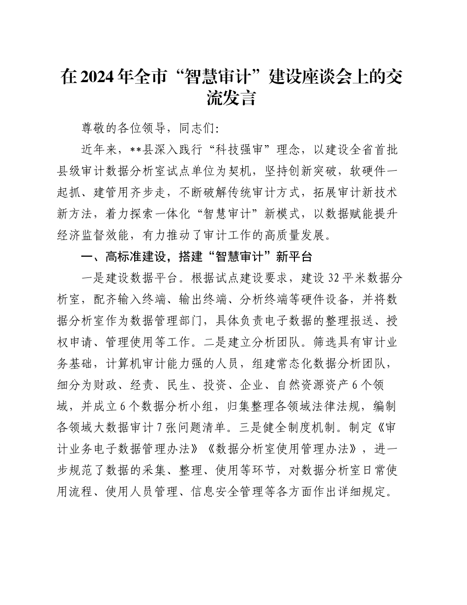 在2024年全市“智慧审计”建设座谈会上的交流发言_第1页