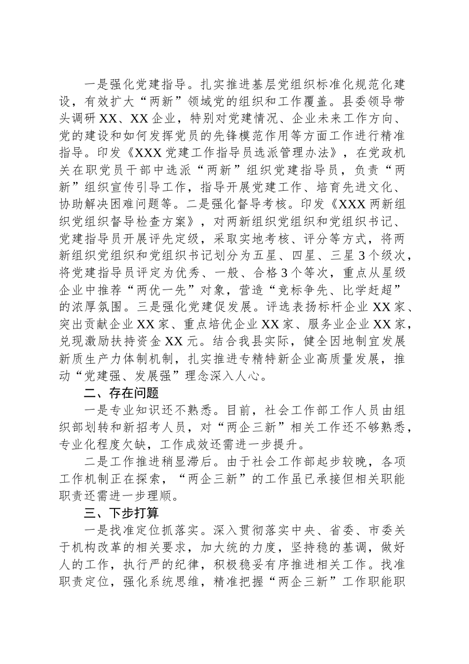 在全市“两新”工委业务交流会上的发言材料_第2页