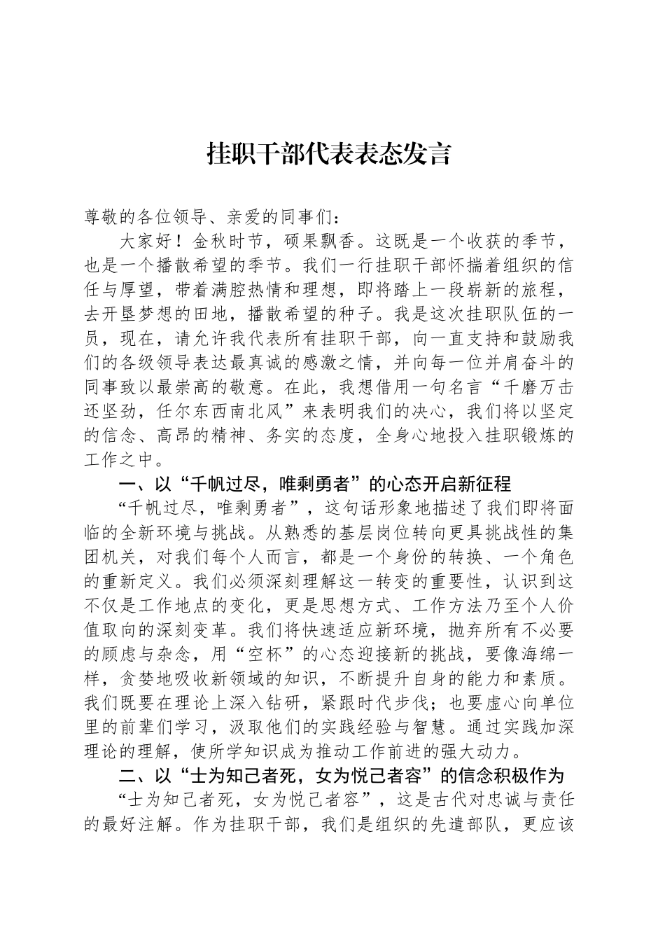 挂职干部代表表态发言_第1页