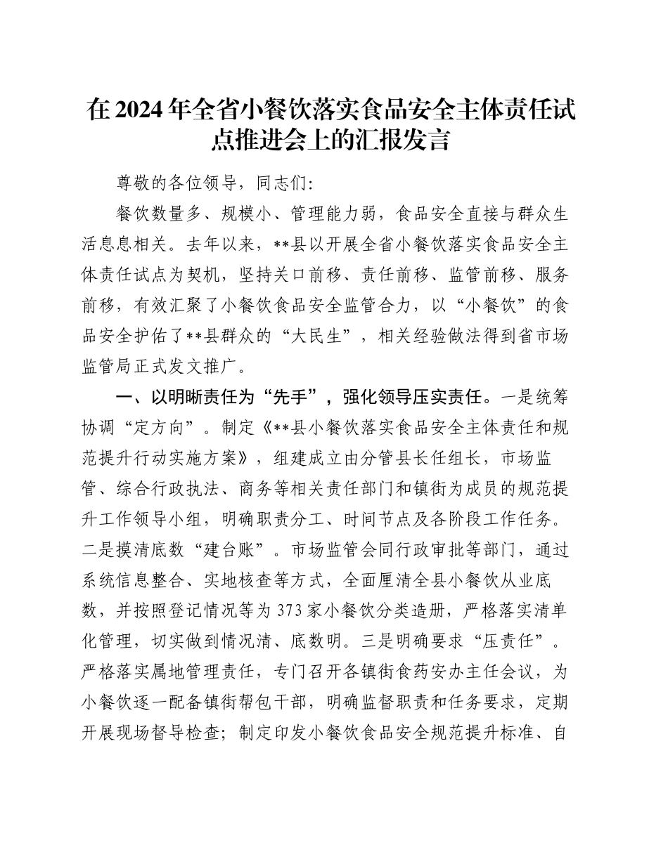 在2024年全省小餐饮落实食品安全主体责任试点推进会上的汇报发言_第1页