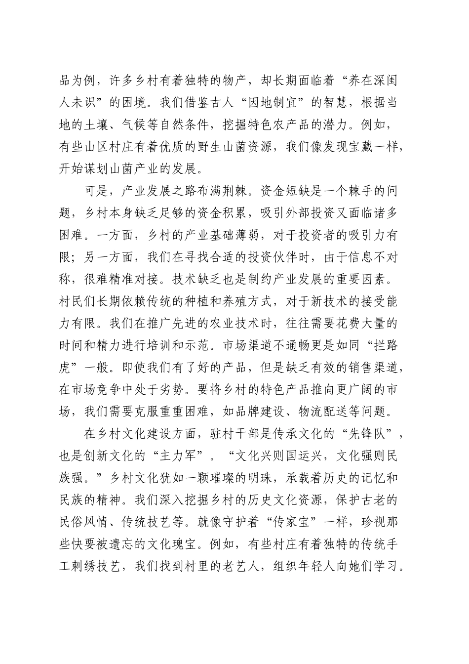 驻村干部代表发言：乡村振兴的 “先锋队” 与 “主力军”_第2页