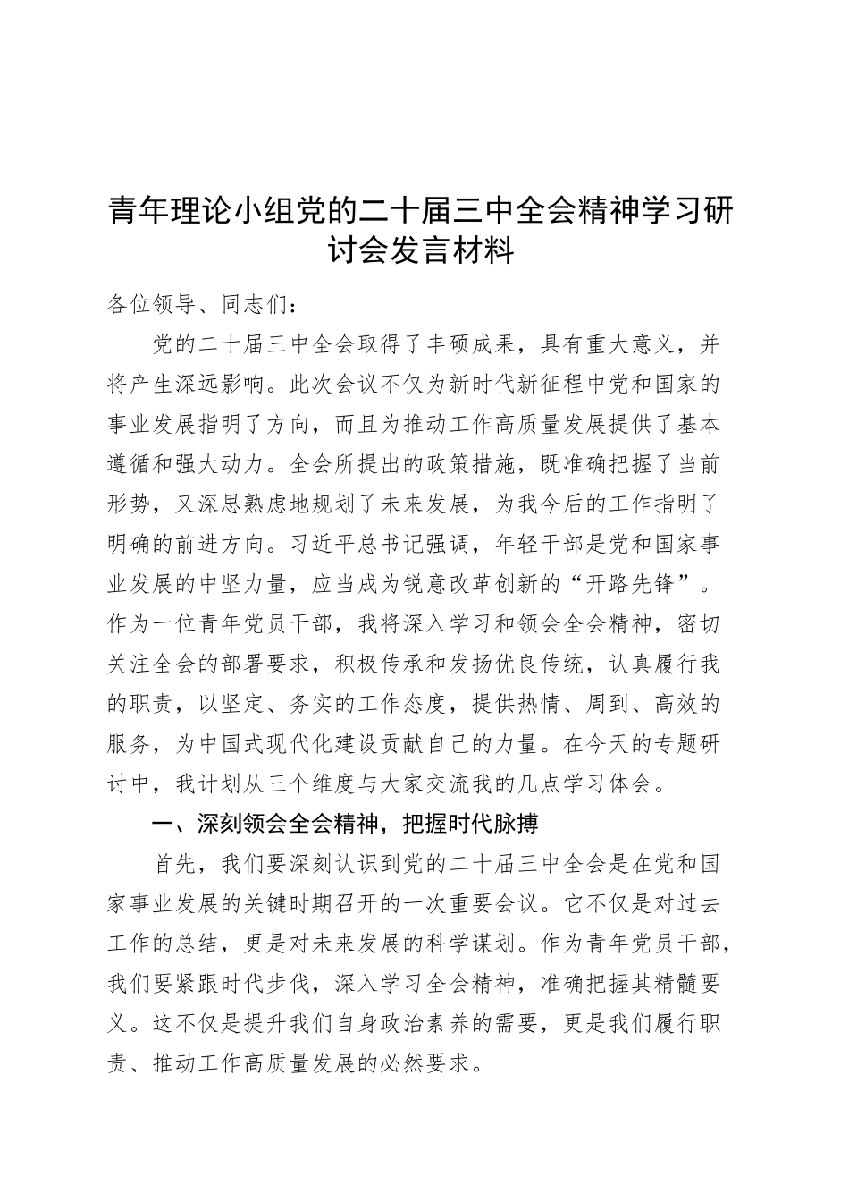 青年理论小组党的二十届三中全会精神学习研讨会发言材料心得体会20241016_第1页