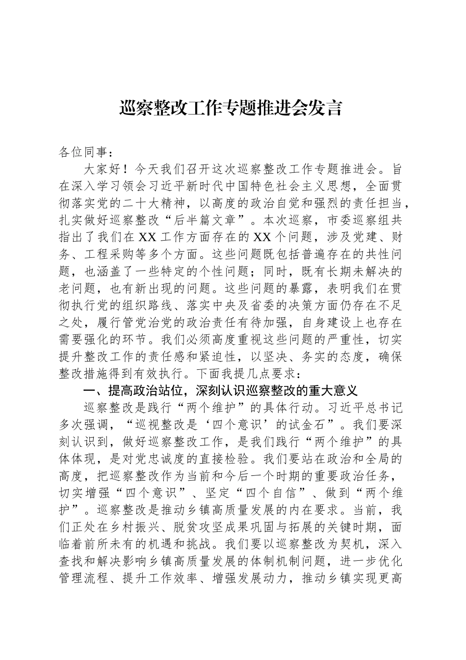 巡察整改工作专题推进会发言_第1页