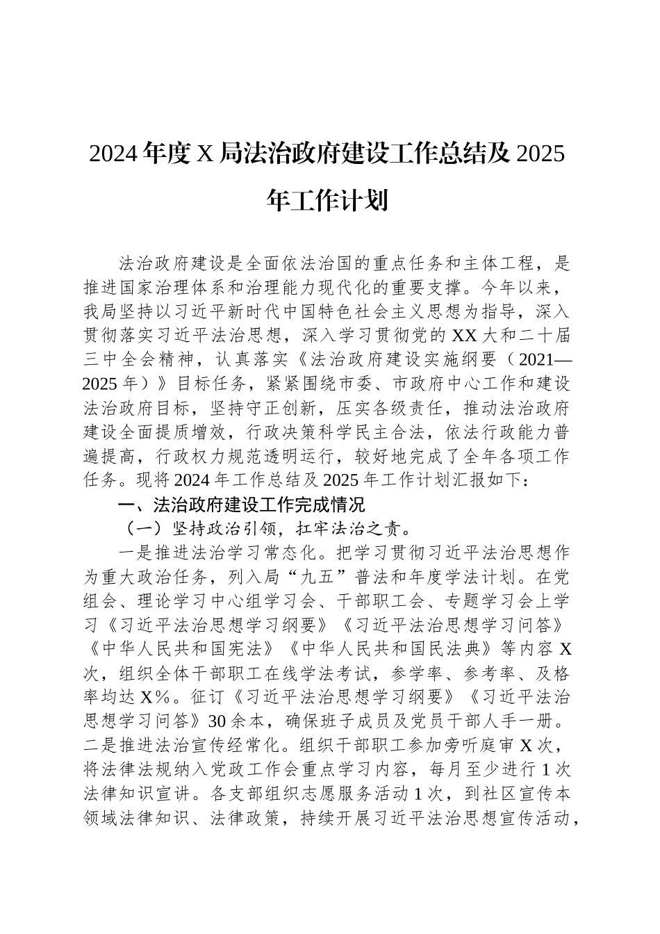 2024年度X局法治政府建设工作总结及2025年工作计划_第1页