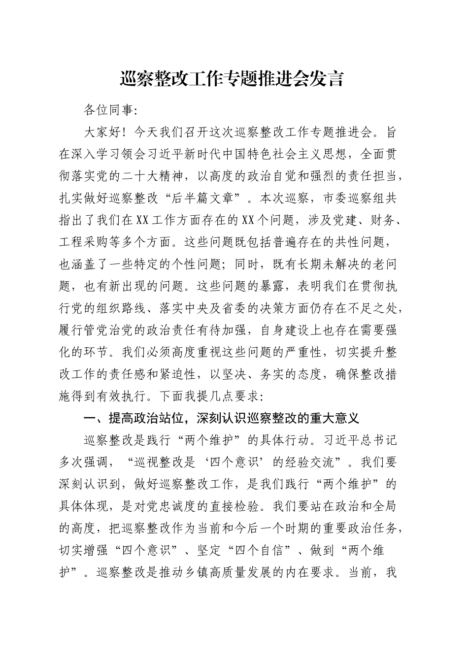 巡察整改工作专题推进会发言（提要求讲话）_第1页