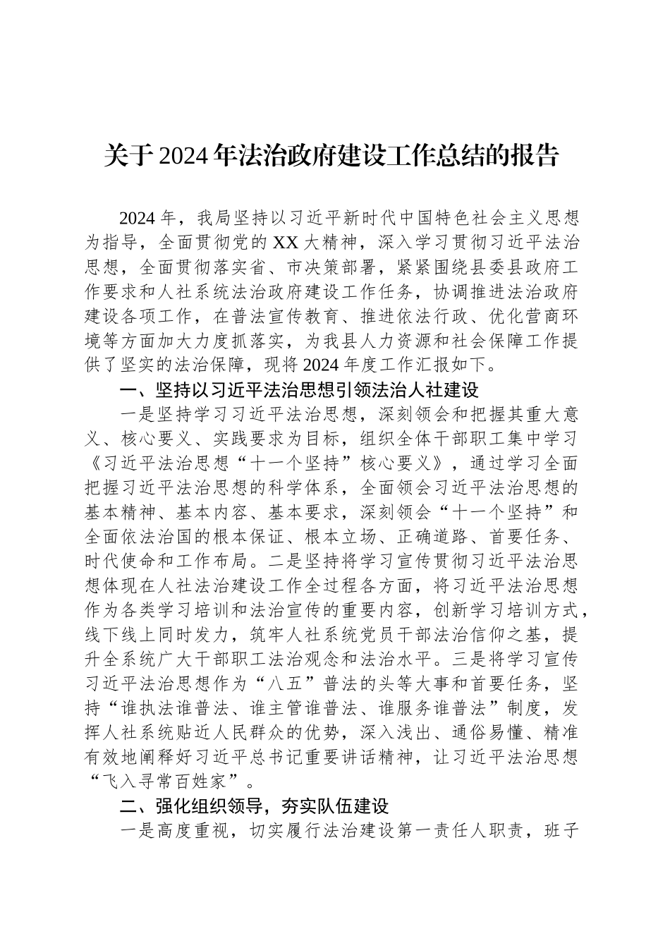 关于2024年法治政府建设工作总结的报告_第1页