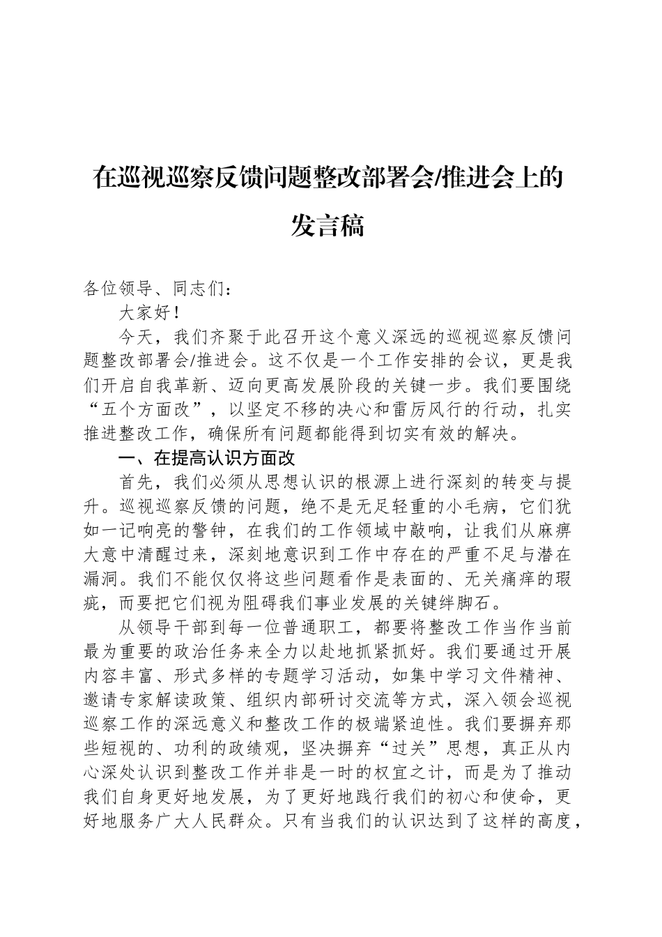 在巡视巡察反馈问题整改部署会-推进会上的发言稿_第1页