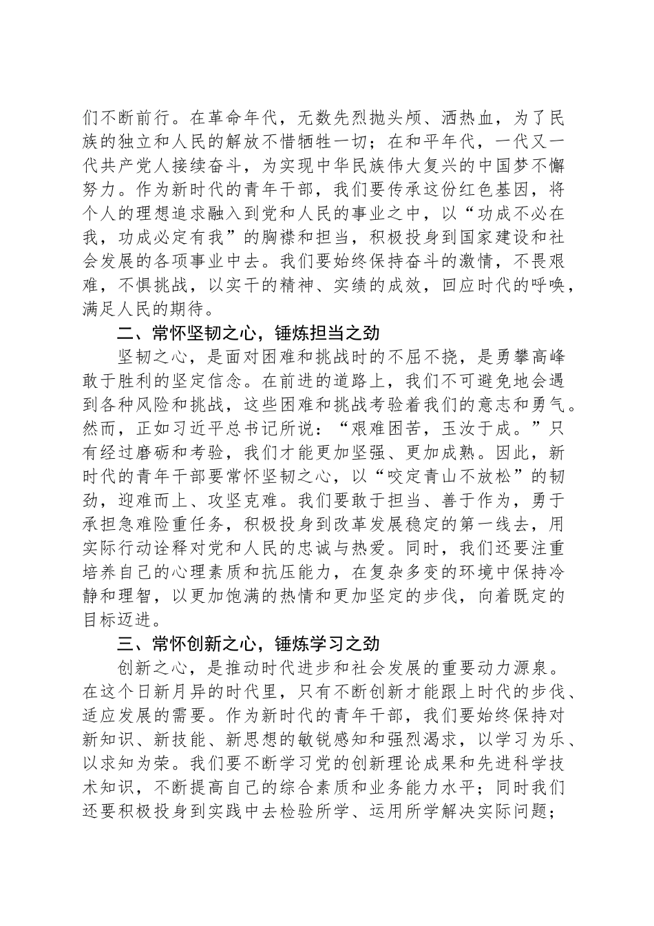 在青年干部座谈会上的交流发言：以“三心”铸魂，以“三劲”砺行，共绘青春奋斗蓝图_第2页